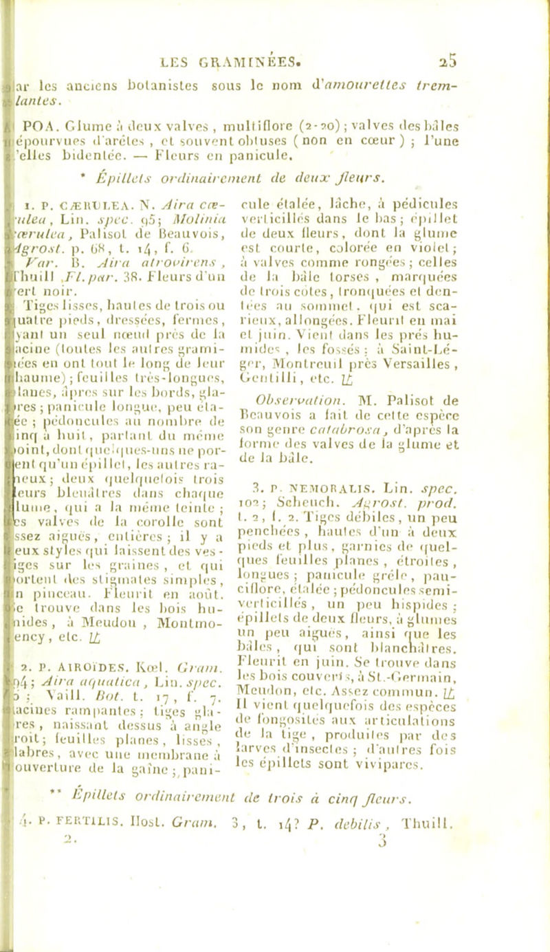 les anciens bolanisles sous le nom à'amourettes Ircm- lü/antes. jll POA. Gluineà Jeux valves , mullinorc (2 ;>o) ; valves des billes 3|cpoiirvups irarêlcs , cl sntivenl obluses (non en cœur) ; l’une i’elles bidenlec. — Fleurs en paniculc. I * ÉpiUcls ortlinaii entent de deux' Jleiirs. .1 I. P. CÆIUJI.EA. N. Âira cæ- xnlea, Lin. spcc. pS; Mulinia mœritlea, Palisot de Beauvois, n-igroxt. p. 1>K, l. i4, f. (J ,• Far. B. J ira atroairens , i Vhuill .Fl.par. 3R. Fleurs d'un ;t-erl noir. Tiges lisses, haul es de trois ou Sjualre pieds, dressées, fermes, I iiani un seul rireinl près de la 9 acine (loules les iiuires grami- lyèes en ont loiil le long de leur II baume) ; feuil les très-longues, » laues, âpres sur les bords, gla- jùrcs ; panienle longue, peu éta- lée ; pédoncules an nombre de Hinq a huit , partant du même t.ioini, dont queii|ues-nns ne por- tent qu’un épil let, les autres ra- Éheux; deux quelqnetois trois fleurs bleuâtres dans chaque qjlume, qui a la même teinte ; Scs valves de la corolle sont ^ssez aigues, entières; il y a (^eux styles (|ui laissenldes ves- tiges sur les graines , et qui Uortent îles stigmates simples, tlln pinceau. Fleurit en août, ^e trouve dans les bois hn- Îiides, à Meudüu , Montnio- ency, etc. H 2. P. AiROiDE.s. Kod. Gram. >5^4; ■^''•a afiaatica, Lin.A/iec. fp ; Vaill. Hot. t. 17 , f. 7. ifeacines rampantes; tiges gla- |iircs , nai.ssanl dessus à angle j^roil; leuilles planes, lisse.s , labres, avec une membrane à ouverture de la gaine; paui- .1. P. FERTILIS. Ilost. Gram. cille étalée, lâche, à pédicules verticillés dans le bas; épillel de deux Heurs, dont la glumc est courte, colorée en violet; à valves comme ronge'es; celles de la bâle torses , marquées de trois cotes, tronquées et den- tées au sommet. <|ui est sca- rieux, allongées. Fleurit en mai et juin. Vient dans les prés hu- mides , les fos.sés ; à Saint-Lé- ger, Montreuil près Versailles, tieiiti lli, etc. 14 Oli.teraalion. M. Palisot de beauvois a lait de celte espère son genre calairo.ta, d’apres la lorme des valves de la gliinie et de la bâle. 3. P. MEMOtiALl.s. Lin. spcc. 102; Schench. ^prost. prod. 1.2, I. 2. Tiges débiles, un peu penchées , hautes d’un à deux pieds et plus, garnies de quel- ques feuilles planes, étroites, longues; panicule grêle, paii- cillore, étalée ; pédonculessenii- verlicillés, un peu hispides ; épillets de deux fleurs, à gliimes un peu aigues, ainsi que les bâles , (|ui sont blanchâlres. l'ieuril en juin. Se trouve dans les bois couvert s, àSt.-t ’.nrmain, Meuilon, etc. Assez commun. Ig Il vient quelquefois des espèces de l'ongosites aux articulations de la lige , produites ]iar des larves d'insectes ; d’antres fois les éjiillets sont vivipares. LpUlets ordinairement de trois à cinq Jleiirs. 3, t. i4? P. debilis, Thuill.