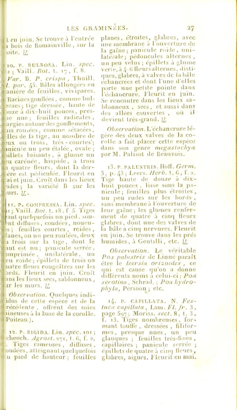 I LES (IRAMINÉES. L cil juin. Sc Icouve ,'i I ciiln'e ri hois (le Uoniiiiiivillc, suc lu (iiilc. IL 10. i>. nui. nos A. I.iu. spcc. J : Vain. Ilot. l. 17 , r. S. lynr. B. P. cri.spa , 1 luiill. ï. pnr. 4,1. ILlIes allon^iic.s eu iaiiièrc de rciiilles, vivipai-cs. rUaciiicsfioiillccs , comme Inil- jîuse.s; li|^(: dressee, liaide de mze à dix-liiiil |umce.s, pres- se nue i leuille.s radic.iles , largiesaulourdcs onllemenis, lis mil.(les, comme .selaeiies, lies de la lige, au nombre de ■ux ou Irois, 1res - courles'; aniculc uii peu élalée, ovale ; lillel.s lui.saiils , à glumc uu ïu carénée, liispide, à trois n (|ualre Heurs, doiil la der- ére est pédicuUa!, l'ieuril en ai el juin. Croît dans les lieux •ides ; la variété B sur les mrs. \L. 11. P. covipniîSSA. Lin. .v/iec. u; Vain. hot. 1. iR, r l iges ■aiit (pielipiel'oi.s un pied, sou- ■iit diltu.ses, coudées, iioueu- !is ; feuilles courles, rcides , lunes, ou un peu roulées, deux U trois sur la lige, dont 1e lut est nu; pinieiile .serrée, omprimée , iinilalcnale, un eu roide ; c’pillels de trois ou iiaire Heurs rougeâtres sur les ords. Meurit en juin. Croît ans les lieux secs, sablonneux , ■ar les murs. ]£ I Obi'i'rualion. Quelques indi- idiis de celle espèce et de la récédenle , ollrent des soies lineuses à la base de la corolle, l’oileau ). 12. P. niGiDA. I.in. spec. lOI ; cliench. ylf>ro.yl. y.'ii, I. (i, f. 2, . Tiges rameuses , dilliises , oudées, atteignant (|uel(|Uelbis ui pied de hauteur ; fcuilies 27 planes, éirnilcs, glabres, avec une membrane à l'ouverture de la gaîne; panicule roide, uni- latérale; pédoncules alternes, un peu velus; (ipilhds à glume verle, à .4 (I ileiirsallernes, disti- (|iies, glabres, à valves de la bille (■ebancrées et dont rime d'elles porte une petite pointe dans récliancrure. Tleurit en juin. Se rencontre dans les lieux sa- blonneiix , secs, et aussi dans des allées couvertes , où il devient très-grand. IL Ob.teroalion. L'échancrure lé- gère des deux valves de la co- rolle a fait placer cette espèce dans son genre mcpaslncliya liarM. Halisot de Beaiivois. 13. P. PALUSTtu.s. lloll. Gerni. 3 , p. 4^ > Leers. lier b. I. H , I. 2. Tige haute de douze à dix- huil pouces . lisse sous la pi- nicule; l'euilles plus élroites, un peu rudes sur les bords , sans membrane à l'ouverture de leur gaîne; les glimies renfer- ineiit de quatre à cim| Heurs glabres, dont une des valves de la bàleacinq nervures. Fleurit en juin. Se trouve dans les pré.s humides, à Gentilli, etc. IL Observation. Le véritable P0.1 pnliistris de Linné paraît être le leersia arizoïUes , ce (pii est cause (ju'on a donne (lillérents noms a celui-ci; Poa. serotinii, Schrad. ; Poa bytlro- pbylu, l’crsüon ; etc. 14. P- CAPii.i.ATA. N. Fe.s- liica capiltala , PI. Jr. 3, page 5(|7; Moriss. sect. 8, 1.3. f. i3. Tiges nombreuses, for- mant tuull'e , dressées , lilitor- ines, pres(|ue nues, un peu glau(|ues ; feuilles lr('‘S-Hnes, capillaires ; panicule serrée ; épillets de (|uatre à ciri(| Heurs , glabres, aigues. ITeiirit en mai.