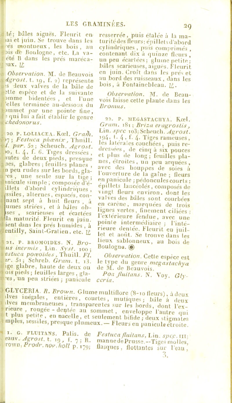 fe; bâlcs aiguës. Fleiirll on lai et juin. Se trouve dans les •es inontuenx, les bois , au ois (le Jioulogno, etc. La va- ëté I! dans les près niaréca- ■ux. Il Observalion. M. de Beaiivois d^rost. t. 19, (, 2) représeniB :s deux valves de la baie de elle espèce et de la suivante jinme bidentëes , et l'une 'elles lerininec au-des.so'.is dn Bininet par une pointe line, ’ f(ui lui a fait établir le genre i: hcdonoriis. 20 P. LOLt.^CEA. Kœl. Grm)i. 117; Festnca phœnix, Thiiill. d. par. Sa; Scheucb. Apro.vl. •O, l. 4. f. (i. Tiges dressées , mtes de deux pieds, presfjne Jes, glabres ; feuilles planes , n peu rudes sur les bords, gla- •es , une seule sur la tige ; ‘inicule simple ; composée d'é- illels d'abord cylindriques , rssiles, alternes, espacés, con- nant sept à buit fleurs , à unies striées, et à baies ob- ises , scarienses et écartées la maturité Fleurit en juin, dent dans les prés humides , i eutilly, Saint-Gralien. etc. H 21. P. BROMOIDES. N. Bro- us inermis, Lin. .Vy.tf. 100 ; estiica poæoùles, Tbuitl. Fl. zr. 5i; Schreb. Gram. t. i3. glabre, haute de deu.x ou ois pieds; leuillos larges , gla- •es, un peu striées; panicule resserrée, puis étalée à la ma- tnrilédes fleurs; épilletsd’abord cyliiidri((ues , puis romprimés , contenant dix à (piinze fleurs, un peu écartées; gluino petite: baies scarieu.ses, aigues. Fleurii; en juin. Croît dans les préset au bord des ruisseaux, dans les bois, à Fontainebleau. H. Observation. M. de Beau- vois laisse celle plante dans les Bromus. 22. P. ilIEGASTACIIY.A. Krel. Gram. iSi ; Briza erag/ oslis, Lin. spec u>i;Sc.hmch. ^prost. 'P4- •■ 4 > I- 4- Tiges rameuses, les latérales couchées, puis re- dressées , de cinq à six pouces et plus (le long; feuilles pla- nes, étroites, un peu arquées, avec de.s houppes de soies à l'ouverture de la gaîne ; fleurs en panicule ; pédoncules courts ; epillets lancéolé.s, composés de vingt fleurs environ, dont les valves des baies sont courbées en carène, marquées de trois lignes vertes, finement ciliées : l’e.xlérieure fendue, avec une pointe intermédiaire ; l'inté- rieure dentée. Fleurit en juil- let et août. Ha trouve dans les lieux sablonneux, au bois de Boulognu. (g) Observât ion. Cette espèce est le type du genre mepastachya de M. de Beauvois. Poa Jluitans. N. Voy. Gly- ccria. GLYCERIA. B. Brown. Glume multiflorc (8-10 fleurs!. ùdimt ilves inégalés, entières, courtes, inutiqiies; bàle i'i deux filves membraneuses, transparentes .sur les bords, dont l'ex- ï rieure , rougee - dentée au sommet, enveloppe l'autre oui 'îmn pel'le, en nacelle, et seulement bifide ,• deux stigmates I mples, sess.les, presque plumeux. - Fleurs en fianicule el oite ^ 1. G. FLEITATJS. Palis, de • eauv. Aprosl. t. 19, f. , ; R. I rown, Prodr. novJxoll p. iiq- Festnca fluitans. Lin. spcp.iH: manne de Prusse.—Tiges molles, flasques , flouantes sur l'eau , t