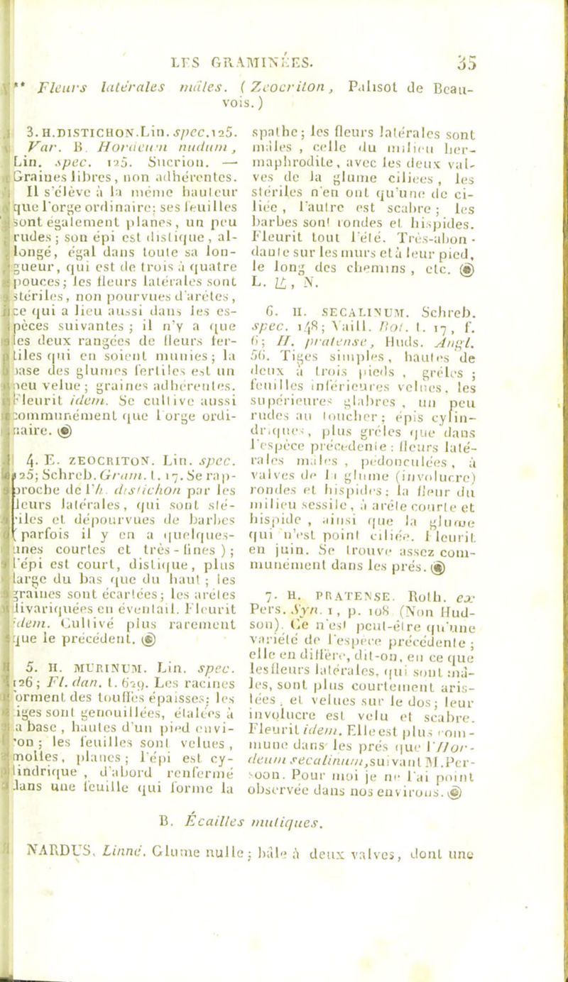 Li'S GRAT\iiN;:r^s. 35  Fleurs latérales mâles. {Zcocriton, P.ihsot de Bcau- vois. ) 3. H.nsTiCHON.Lin. spec.\i5. Var. B Horaeu n nudum, Lin. .'^pec. i^â. Siicrioii. — Graines libres , non .uthérontes. Il s'clèvo à la niéino liiiulcur que l'orbe ordinaire; ses leui lies sont égalemenl planes, un peu rudes; son épi est distique, al- longé, égal dans loule sa lon- gueur, qui est do trois à ((uatre pouces; les Heurs latérales sont stériles, non pourvues d'arétes , ce qui a lieu aussi dans les es- pèces suivantes ; il n'y a que les deux rangées de Heurs 1er- liles (pli en soient uuiiiies; la lase des gluuies fertiles est un oeti velue; graines adlierenliîs. Kleurit idem. Se cultive aussi eoinmiinénienl (|ue 1 orge ordi- naire. tj) 1 4' E. zEOcniToN. Lin. .•tpce. iaû; Schreb. Grain. 1. 17. Se rap- proche do 17i disUc/ion par les leurs lalérales, qui sont slé- ■iles et dépourvues de barbes (parfois il y en a i|uelqiies- tines courtes et très-lines); l'épi est court, distiijue, plus large du bas que du haut ; les graines sont écartées ; les aréics divariqnées eu éventail, fleurit nlem. tdultivé plus rarement que le précédent. i§) 5. II. ML'RiNL'Pi. Lin. spec. 126 ; Fl. dan. t. (ipp. Les racines lornient des toullés épaisse.s; les igessoni getiouillées, étalées à a base , hautes d'un pied envi- ■on ; les feuilles sont velues , nioUes, planes; l'épi e.sl cy- lindrir;ue , d'iibord renfermé .lans une icuille i|ui forme la spathe; les (leurs latérales sont imiles , celle du milieu her- maphrodite, avec les deux val- ves do la glume ciliees, les stériles n'en ont qu'une de ci- liée , l'autre est scahre ; les barbes sont londes et his|)ides. Fleurit tout l élé. Trés-alion- daule sur les murs et à leur pied, le long des chemins , etc. (S) L. Il, G. II. .SECAI.INUM. Schreb. spec. 1.4S; Aaill. Pot. I. 17, f. (I; II. pralense, Htids. Anpl. .'il). Tiges siiiqiles, hautes de deux a trois pieils , grêles ; leiiilles inférieures veines, les supérietire< glabres . un peu rudes au toucher; épis cylin- dr.(pie(, plus grêles que dans l'espèce précedenie : Heurs lalé- rales iii.iles, pedoiiculées , à valves de li glume (iiividucrc) rondes et hispides; la Heur dii milieu .sessile , .'1 arête courte et liispidc , .liiisi (|ue la glume (|ui n’est point ciliée. I leiirit en juin. Se trouve assez coiu- munéiiient dans les prés. t§) 7. H. PR.ATENSE. nolll. CX' Pers. .Vv/i. I, p. loS (>'on flud- süii).^ l.e n est peut-être ([u'une variété de l'espece précédente; elle en dilléiv, dit-on, eu ce (|ue leslleitrs latérales, (|ui sont mà- li-s, sont plus courteiiieiit aris- lées . et velues sur le dos; leur involucre est velu et scahre. Fleurit ù/e;/;. Elleest plus roiii- iiiune dans les prés i|ue \Hor- dettni .ret'a/tnn/;/,suivant IM .Pcr- .'•üou. Pour moi je ru' l'ai point observée dans nos euv irons, B. Écailles inuliques. N.4BDUS, Liane. Glume nulle; hàle ;i deux valves, dont une L