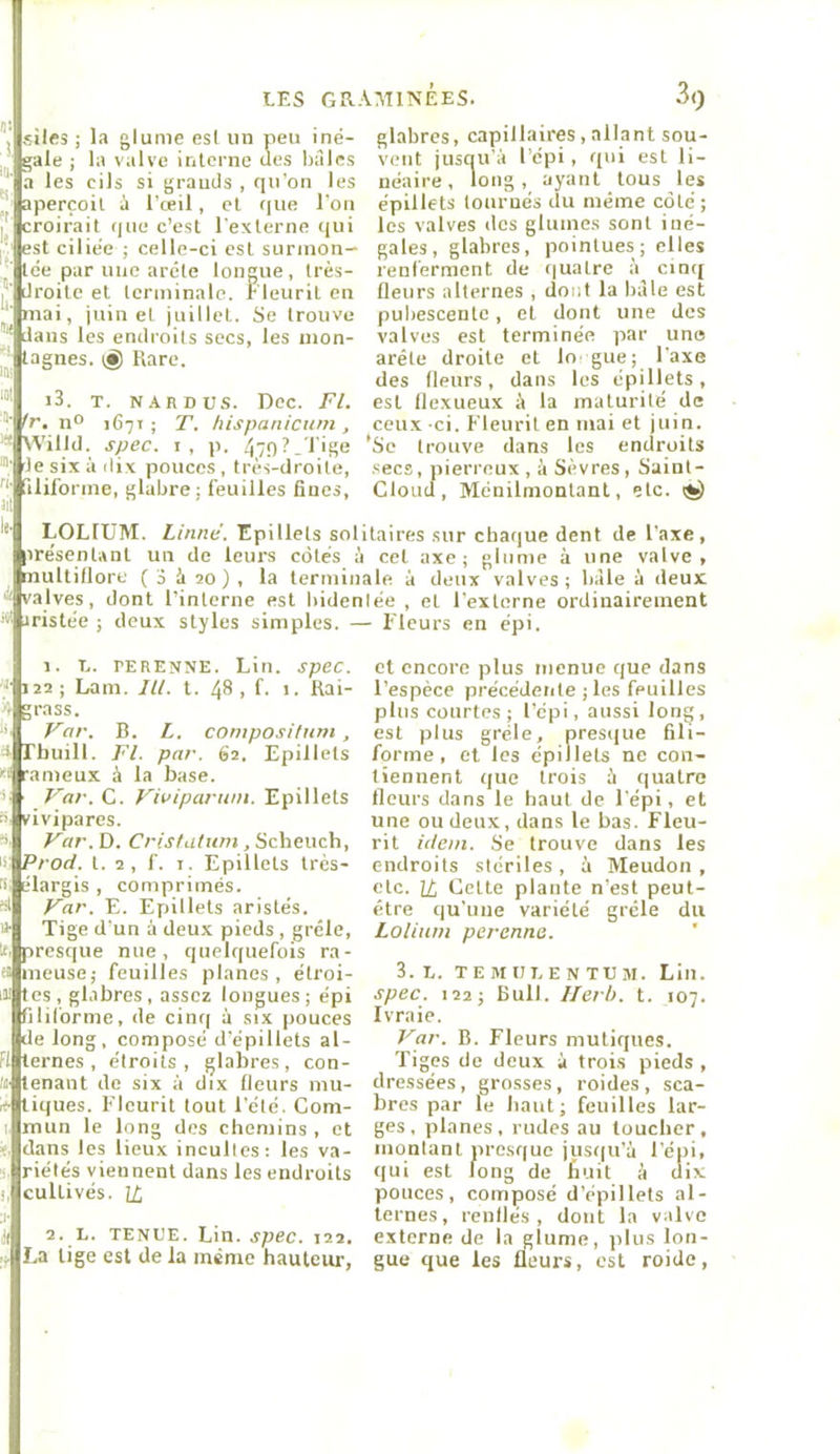 I files ; la glume est un peu iné- / gale ; la valve interne Ues liàlcs a les cils si grands , qu’on les ^ ' aperçoit i l’œil, et que l’on I croirait que c’est l’externe qui ' est ciliee ; celle-ci est surinon— ;■ tce par une arête longue, très- I droite et terminale. Fleurit en mai, juillet juillet. Se trouve dans les endroits secs, les iiion- ’ tagnes. {§) Rare. i3. T. NARD us. Dec. Fl. '■ <r. n° 1671; T. hispanicum, Willd. spec. I, p, .^7q?_'l’ige lesixàilix pouces, très-droite, '■ rtliforme, glabre; feuilles fines. glabres, capillaires, allant sou- vent jusciu’à l’êpi , qui est li- néaire, long, ayant tous les épillets tournés du même côté; les valves des gluincs sont iné- gales, glabres, pointues; elles renferment de quatre cinc[ fleurs alternes , dont la bàle est pubescente, et dont une des valves est terminée par une arête droite et lo gue; l’axe des fleurs , dans les épillets , est llexueux à la maturité de ceux ci. Fleurit en mai et juin. 'Se trouve dans les endroits .secs, pierreux , à Sèvres, Saint- Cloud, Ménilmontant, etc. LOLIUM. Linné. Epillets solitaires sur chaque dent de l’axe, présentant un de leurs côtés à cet axe; glume à une valve, multillorc ( 3 à 20 ) , la terminale à deux valves; bàle à deux ' valves, dont l’interne est bidenlée , et l’externe ordinairement Jristée ; deux styles simples. — Fleurs en épi. 1. U. rERENNE. Lin. spec. ' 122 ; Lam. lU. t. 48 , f. I. Rai- >'< grass. U Var. B. L. compositum, > rbuill. Fl. par. 62. Epillets U rameux à la base. ^ Var. C. Viviparum. Epillets vivipares. ^ Var. D. Cristatum, Scbeuch, i!; Prod. t. 2 , f. T. Epillets très- ri élargis , comprimés. Var. E. Epillets aristés. * Tige d’un à deux pieds , grêle, It. presque nue, quelquefois ra- n meuse; feuilles planes, étroi- iii les , gl.ibres , assez longues ; épi filiforme, de cinr; à six pouces de long, composé d’épillets al- il ternes, étroits, glabres, con- ’! tenant de six à dix fleurs mu- .r- tiques. F’Icurit tout l'été. Com- I mun le long des chemins , et t. dans les lieux incultes; les va- 3, riétés viennent dans les endroits cultivés. IL 2. L. TENUE. Lin. spec. 122. La tige est de la même hauteiu-, et encore plus menue que dans l’espèce précédente ; les feuilles plus courtes; l’épi, aussi long, est plus grêle, presque fili- forme, et les épillets ne con- tiennent que trois ù (|uatro fleurs dans le haut de l'épi, et une ou deux, dans le bas. Fleu- rit idem. Se trouve dans les endroits stériles , à Meudon , etc. IL Cette plante n’est peut- être qu’une variété grêle du Lolium perenne. 3. E. T E M UI. E N TU M. Lin. spec. 122; Bull, llerl). t. 107. Ivraie. Var. R. Fleurs niutiques. Tiges de deux à trois pieds , dressées, grosses, roides, sca- bres par le haut; feuilles lar- ges, planes, rudes au toucher, montant presque jus(|u’à l’épi, qui est long de finit à dix pouces, composé d’épillets al- ternes, renflés, dont la valve externe de la glume, plus lon- gue que les fleurs, est roide.