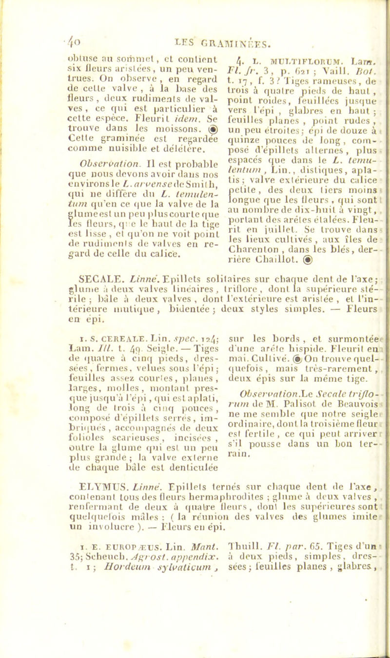 obtuse au somniel, et contient six fleurs arislees, un peu ven- trues. On observe , en regard do celte valve , à la base des fleurs , doux rudimenis de val- ves , ce <(ui est particulier à cette espèce. Fleurit idem. Se trouve dans les moissons, ig) Celle graminée est regardée comme nuisible et délélcre. Observation. Il est probable que nous devons avoir dans nos environs le n/'oe/ijcile Smith, qui ne diffère du £. temulen- tnin qu'en ce que la valve de la glumeest un peu pluscourle que les fleurs, qi e le haut de la tige est lisse , et qu’on ne voit point de rudimenis de valves en re- gard de celle du calice. 4. t. Mm.TiKLoniM. Lam. Fl. Jr. 3, p. t)2i ; Vaill. Hol. t. 17, f. 3.' liges rameuses, de trois à quatre pieds de haut , point roides, feuillécs jusque vers l'épi , glabres en haut ; feuilles planes , point rudes , un peu étroites; épi de douze à ■ quinze pouces de long, com- posé d’épillets alternes, plus • espacés que dans le L. temu- lenlnm , Lin., distiques, apla- tis; valve extérieure du calice ficlite, des deux tiers moins 1 ongue que les fleurs , qui sontl au nombre de dix-huit à vingt, . portant des arêtes étalées. Fleu- rit en juillet. Se trouve dans- les lieux cultivés , aux îles de Charenlon , dans les blés, der- rière Chaillot. (§) SECALE. £('nne'. Epillets solitaires sur chaque dent de l'axe; glume à deux valves linéaires, triflorc , dont la supérieure sté- rile ; bàle à deux valves , dont l'extérieure est arisiée , et l'in- térieure iimtique , bidentée ; deux styles simples. — Fleurs en épi. I. s. CEREALE. Lin. .tpec. ia4; Lam. Itl. t. 4f1 Seigle. — Tiges de quatre à cinq pieds, dres- .sées , fermes, velues sous l’épi; feuilles assez courtes, planes, larges, molles, montant pres- que jusqu'à l’épi, qui est aplati, long de trois à cinq pouces, composé d'épillets serrés, im- briqués , accompagnés de deux folioles scarieuses, incisées , outre la glume qui est un peu plus gr.inde ; la valve externe de chaque bàle est denticulée sur les bords, et surmontée^ d'une arête hispide. Fleurit eai mai. Cultivé. (§/On trouve quel- f|uefois, mais très-rarement,, deux épis sur la même tige. Observation.XjC Secale trijlo- /■imideM. Palisot de Beauvois ■ ne me semble c|ue notre seiglei ordinaire, dont la troisième fleur 1 est fertile, ce qui peut arriverr s'il pousse dans un bon 1er-- rain. ELYML'S. L/nnè. Fpillels ternes sur chaque dent de l'axe, contenant tous des fleurs hermaphrodites ; glume à deux valves , l'enfermant de deu.x à (|uatre llenrs, dont les supérieures sont ' quel((uelois males : ( la réunion des valves des glumcs imite- un involucre ). — Fleurs en épi. 1. E. europ,t,u,s. Lin. Manl. Thuill. Fl. par. 65. Tiges d'un ■ 35; Scheuch. yf/gvoj/. o/j/icnd/ar. à deux pieds, simples, dres- t. I; Hordewn sylvaticurn j sées ; feuilles planes , glabres,