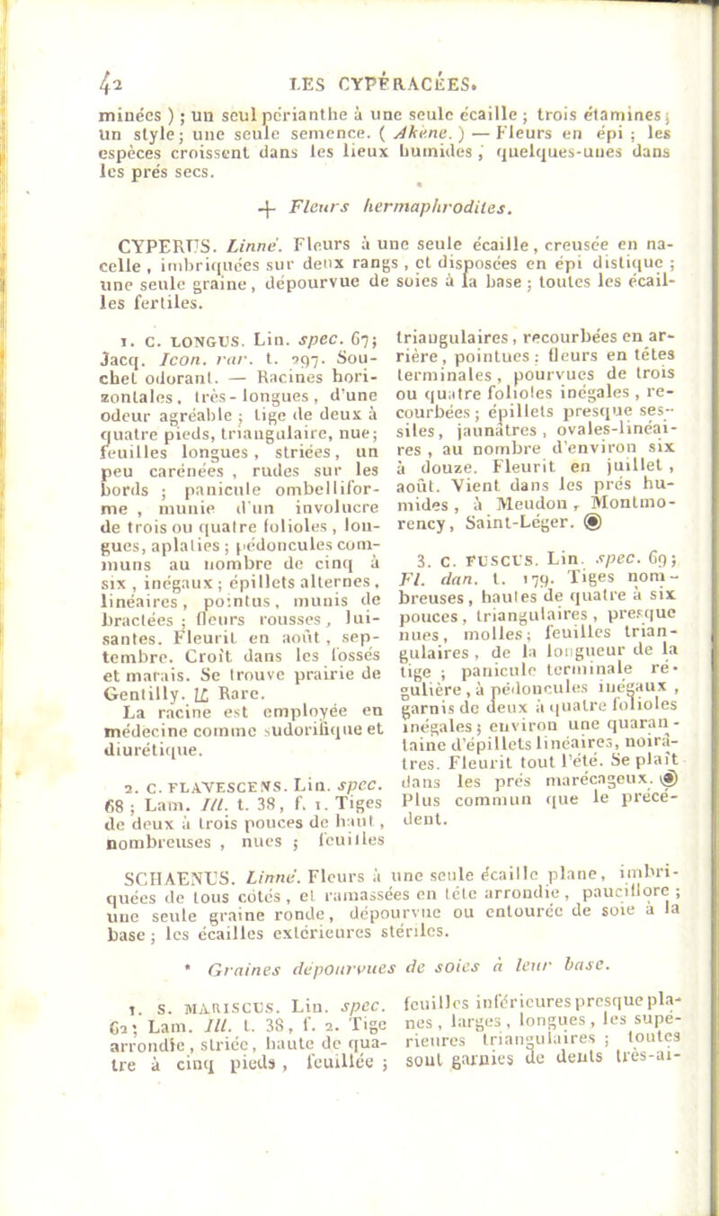 l^1 I.ES CYPÉRACÉES. miuécs ) ; un seul perianthe à une seule écaille ; trois étamines j Un style; une seule semence. ( Ahe.ne.) —Flenrs en épi ; les espèces croissent dans les lieux buinides, quelques-unes dans les prés secs. 4- Fleurs hermaphrodites. CYPERTJS. Linné. Fleurs à une seule écaille, creusée en na- celle , inihriquées sur deux rangs , et disposées en épi distique ; une seule graine, dépourvue de suies ù la base ; toutes les écail- les fertiles. 1. c. UONGUS. Lin. spec. d’j; Jacq. Icon. rar. t. 597. Sou- chel odorant. — Racines hori- zontales. très-longues, d’une odeur agréable ; tige de deux à quatre pieds, triangulaire, nue; feuilles longues, striées, un peu carénées , rudes sur les bords ; panicule onibellifor- me , munie d'un involucre de trois ou quatre folioles , lon- gues, aplaties ; pédoncules com- muns au nombre de cinq à SIX , inégaux ; épillets alternes . linéaires, pointus, muuis do bractées ; (leurs rousses, lui- santes. Fleurit en août, sep- tembre. Croit dans les fossés et marais. Se trouve prairie de Gentilly. U, Rare. La racine e.st employée en médecine comme .sudorifique et diurétique. 2. c. FLAYESCEiVS. Lin. spCC. 68 ; Lam. lit. t. 38, f, i. Tiges de deux à trois pouces de haut, nombreuses , nues ; leu il les triaugulaires, recourbées en ar- rière, pointues : Heurs en têtes terminales, pourvues de trois ou quatre folioles inégales , re- courbées ; épillets presque ses- siles, jaunâtres, ovales-linéai- res , au nombre d'environ six à douze. Fleurit en juillet , août. Vient dans les prés hu- mides , à Meudoii, Montmo- rency, Saint-Léger. ® 3. c. Fuset-'s. Lin. spec. 69; Fl. dan. t. 179. Tiges nom- breuses, hautes de quatre a six pouces, triangulaires, pre.sque nues, molles; feuilles trian- gulaires , de la longueur de la tige ; panicule terminale ré- gulière , à pédoncules inégaux , garnis de deux à quatre folioles inégales; environ une quaran- taine d’épillets linéaires, noirâ- tres. Fleurit tout l’été. Se plaît dans les prés marécageux, Plus commun que le précé- dent. SCHAENL’S. Linné. Fleurs à une seule écaille plane, imbri- quées de tous cotés , et ramassées en tête arrondie , paucitlore ; une seule graine ronde, dépourvue ou entourée de soie a la base ; les écailles extérieures stériles. * Graines dépourvues de soies n leur base. t. S. MARisctis. Lin. spec. Ca; Lam. Jll. l. 38, f. 2. Tige arrondie, striée, haute de qua- tre à cinq pieds , fouillée ; (culllcs inférieures presque pha- nes, larges, longues, les supé- rieures triangiilalre.s ; loiitcs sont garnies de dents Irès-ai-