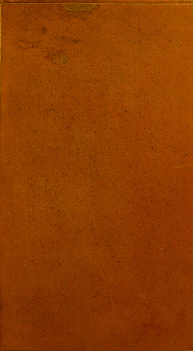digitised image 1