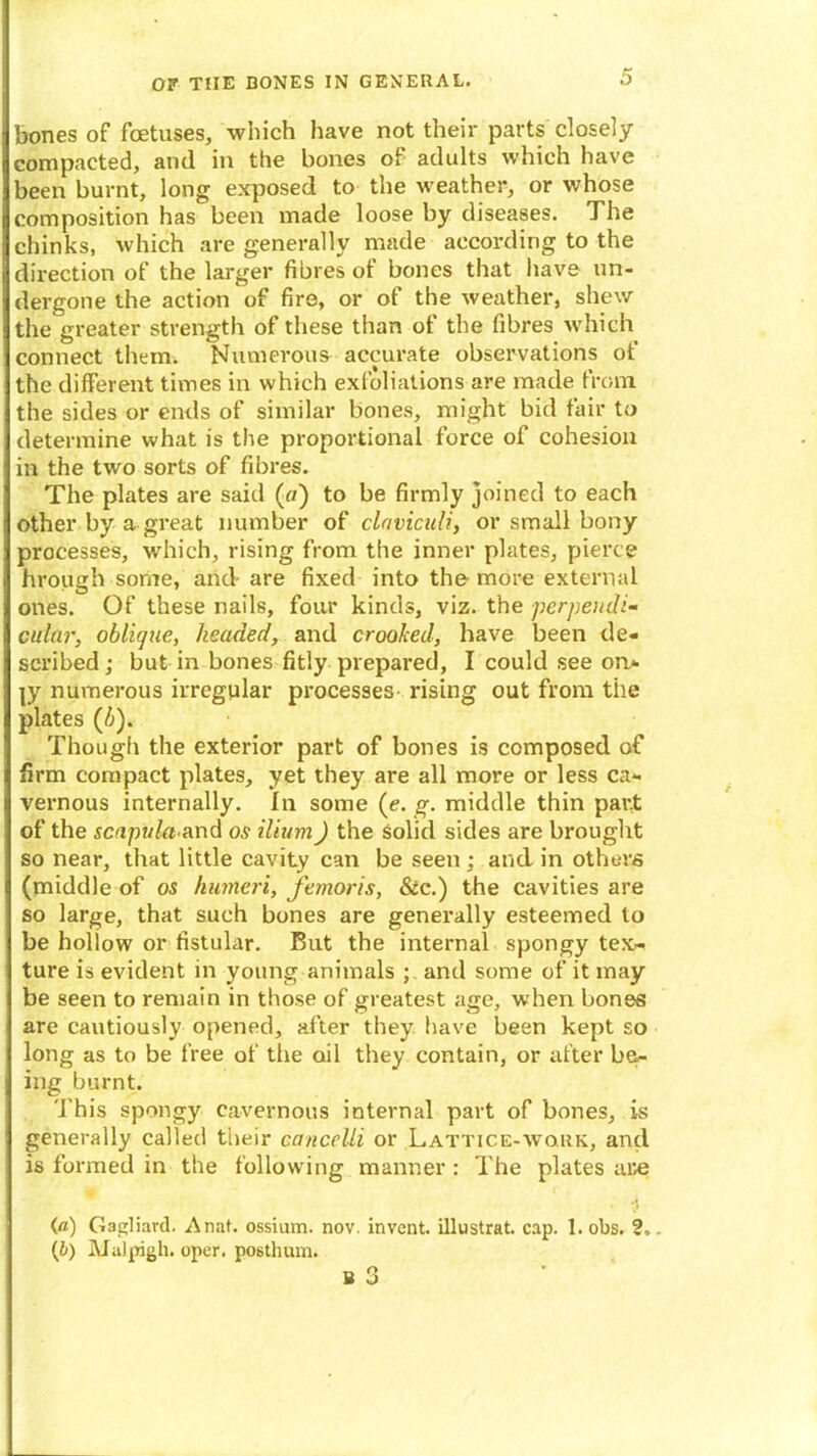 bones of foetuses, which have not their parts closely compacted, and in the bones of adults which have been burnt, long exposed to the weather, or whose composition has been made loose by diseases. The chinks, which are generally made according to the direction of the larger fibres of bones that have un- dergone the action of firs, or of the weather, shew the greater strength of these than of the fibres which connect them. Numerous accurate observations of the different times in which exfoliations are made from the sides or ends of similar bones, might bid fair to determine what is the proportional force of cohesion in the two sorts of fibres. The plates are said («) to be firmly joined to each other by a great number of clnviculi, or small bony processes, which, rising from the inner plates, pierce hrough some, and- are fixed into the more external ones. Of these nails, four kinds, viz. the perpendi- cular, oblique, headed, and crooked, have been de- scribed ; but in bones fitly prepared, I could see on- ly numerous irregular processes rising out from the plates (b). Though the exterior part of bones is composed of firm compact plates, yet they are all more or less ca- vernous internally. In some (e. g. middle thin part of the scapuki and os ilium) the solid sides are brought so near, that little cavity can be seen ; and in others (middle of os humeri, femoris, &c.) the cavities are so large, that such bones are generally esteemed to be hollow or fistular. But the internal spongy tex-- ture is evident in young animals ; and some of it may be seen to remain in those of greatest age, when bones are cautiously opened, after they have been kept so long as to be free of the oil they contain, or after be- ing burnt. This spongy cavernous internal part of bones, is generally called their cancclli or Lattice-work, and is formed in the following manner : The plates are (fl) Gagliard. Anat. ossium. nov. invent, illustrat. cap. 1. obs. 2.. (6) Malpigh. oper. posthum.