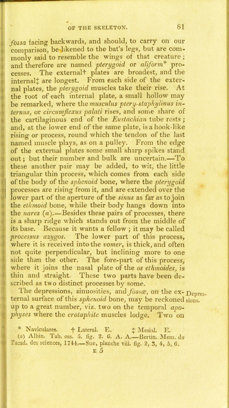 fossa facing backwards, and should, to carry on our comparison, bed'kened to the bat’s legs, but are com- monly said to resemble the wings of that creature ; and therefore are named pterygoid or aliform* pro- cesses. The externalt plates are broadest, and the internal^ are longest. From each side of the exter- nal plates, the pterygoid muscles take their rise. At the root of each internal plate, a small hollow may be remarked, where the musculus ptery-slaphylinus in- terims, or circumflexus palati rises, and some share of the cartilaginous end of the Eustachian tube rests; and, at the lower end of the same plate, is a hook-like rising or process, round which the tendon of the last named muscle plays, as on a pulley. From the edge of the external plates some small sharp spikes stand out; but their number and bulk are uncertain.—To these another pair may be added, to wit, the little triangular thin process, which comes from each side of the body of the sphenoid bone, where the pterygoid processes are rising from it, and are extended over the lower part of the aperture of the sinus as far as to join the ethmoid bone, while their body hangs down into the nares (a).—Besides these pairs of processes, there is a sharp ridge which stands out from the middle of its base. Because it wants a fellow ; it may be called processus azygos. The lower part of this process, where it is received into the vomer, is thick, and often not quite perpendicular, but inclining more to one side than the other. The fore-part of this process, where it joins the nasal plate of the os ethmoides, is thin and straight. These two parts have been de- scribed as two distinct processes by some. The depressions, sinuosities, and fossae, on the ex- Depres- ternal surface of this sphenoid bone, may be reckoned sions. up to a great number, viz. two on the temporal apo- physes where the crotaphite muscles lodge. Two on * Naviculares. f Lateral. E. + Mesial. E. (a) Albin. Tab. oss. 5. fig. 2. 6. A. A Bertin. Mem. da I l’asad. des sciences, 1744 Sue, planche viii. fig. 2, 3, 4, 5, 6.