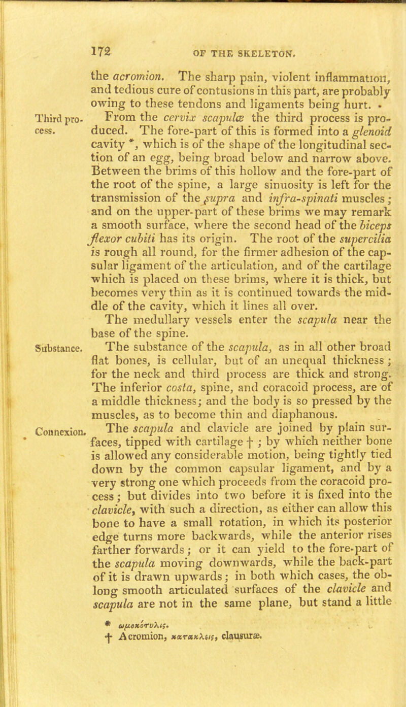 Third pro- cess. Substance. Connexion. the acromion. The sharp pain, violent inflammation, and tedious cure of contusions in this part, are probably owing to these tendons and ligaments being hurt. • From the cervix scapulce the third process is pro- duced. The fore-part of this is formed into a glenoid cavity *, which is of the shape of the longitudinal sec- tion of an egg, being broad below and narrow above. Between the brims of this hollow and the fore-part of the root of the spine, a large sinuosity is left for the transmission of the pupra and infra-spinati muscles ; and on the upper-part of these brims we may remark a smooth surface, where the second head of the biceps flexor cubiti has its origin. The root of the supercilia is rough all round, for the firmer adhesion of the cap- sular ligament of the articulation, and of the cartilage which is placed on these brims, where it is thick, but becomes very thin as it is continued towards the mid- dle of the cavity, which it lines all over. The medullary vessels enter the scapula near the base of the spine. The substance of the scapula, as in all other broad flat bones, is cellular, but of an unequal thickness; for the neck and third process are thick and strong. The inferior costa, spine, and coracoid process, are of a middle thickness; and the body is so pressed by the muscles, as to become thin and diaphanous. The scapula and clavicle are joined by plain sur- faces, tipped with cartilage f ; by which neither bone is allowed any considerable motion, being tightly tied down by the common capsular ligament, and by a very strong one which proceeds from the coracoid pro- cess ; but divides into two before it is fixed into the clavichy with such a direction, as either can allow this bone to have a small rotation, in which its posterior edge turns more backwards, while the anterior rises farther forwards; or it can yield to the fore-part of the scapula moving downwards, while the back-part of it is drawn upwards; in both which cases, the ob- long smooth articulated surfaces of the clavicle and scapula are not in the same plane, but stand a little * ufAoxtruXi;. , •j* Acromion, xxtxkXii;, clausur®.