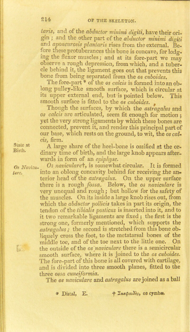 State at Birth. Os Navion lure. 214' of THE SKELETON. iaris, and of the abductor minimi digiti, have their ori- gin ; and the other part of the abductor minimi digiti and aponeurosis plantaris rises from the external. Be- fore these protuberances this bone is concave, for lodg- ing the flexor muscles; and at its fore-part we may observe a rough depression, from which, and a tuber- cle behind it, the ligament goes out that prevents this bone from being separated from the os cuboides. The fore-part * of the os calcis is formed into an ob- long pulley-like smooth surface, which is circular at its upper external end, but is pointed below. This smooth surface is fitted to the os cuboides. Though the surfaces, by which the astragalus and os calcis are articulated, seem fit enough for motion ; yet the very strong ligaments by which these bones are connected, prevent it, and render this principal part of our base, which rests on the ground, to wit, the os caU cis, firm. A large share of the heel-bone is ossified at the or- dinary time of birth, and the large knob appears after- wards in form of an epiphyse. Os navicularet, is somewhat circular. It is formed into an oblong concavity behind for receiving the an- terior head of the astragalus. On the upper surface there is a rough fossa. Below, the os naviculare is very unequal and rough; but hollow for the safety of the muscles. On its inside a large knob rises out, from which the abductor pollicis takes in part its origin, the tendon of the tibialis posticus is inserted into it, and to it two remarkable ligaments are fixed ; the first is the strong one, formerly mentioned, which supports the astragalus ; the second is stretched from this bone ob- liquely cross the foot, to the metatarsal bones of the middle toe, and of the toe next to the little one. On the outside of the os naviculare there is a semicircular smooth surface, where it is joined to the os cuboides. The fore-part of this bone is all covered with cartilage, and is divided into three smooth planes, fitted to the three ossa cuneiformia. The os naviculare and astragalus are joined as a ball