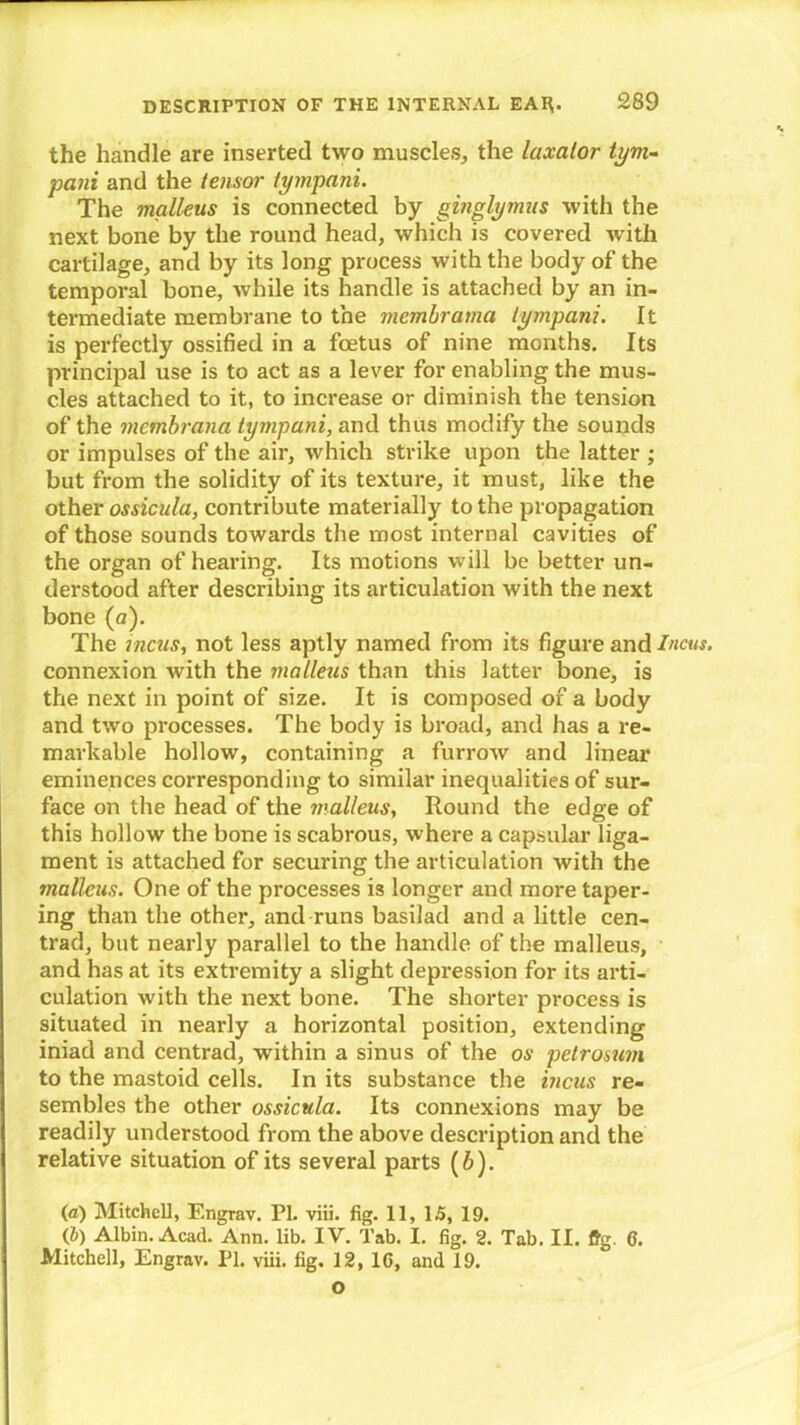the handle are inserted two muscles, the laxalor tym- paiii and the tensor tympani. The malleus is connected by ginglymus with the next bone by the round head, which is covered with cartilage, and by its long process with the body of the temporal bone, while its handle is attached by an in- termediate membrane to the membrama tympani. It is perfectly ossified in a foetus of nine months. Its principal use is to act as a lever for enabling the mus- cles attached to it, to increase or diminish the tension of the mcmbrana tympani, and thus modify the sounds or impulses of the air, which strike upon the latter ; but from the solidity of its texture, it must, like the other ossicula, contribute materially to the propagation of those sounds towards the most internal cavities of the organ of hearing. Its motions will be better un- derstood after describing its articulation with the next bone (a). The incus, not less aptly named from its figure and Incus. connexion with the snalleus than this latter bone, is the next in point of size. It is composed of a body and two processes. The body is broad, and has a re- markable hollow, containing a furrow and linear eminences corresponding to similar inequalities of sur- face on the head of the malleus, Round the edge of this hollow the bone is scabrous, where a capsular liga- ment is attached for securing the articulation with the malleus. One of the processes is longer and more taper- ing than the other, and runs basilad and a little cen- trad, but nearly parallel to the handle of the malleus, and has at its extremity a slight depression for its arti- culation with the next bone. The shorter process is situated in nearly a horizontal position, extending iniad and centrad, within a sinus of the os petrosum to the mastoid cells. In its substance the incus re- sembles the other ossicula. Its connexions may be readily understood from the above description and the relative situation of its several parts (6). (a) Mitchell, Engrav. PI. viii. fig. 11, 1.5, 19. (b) Albin. Acad. Ann. lib. IV. Tab. I. fig. 2. Tab. II. ftg. 6. Mitchell, Engrav. Pi. viii. fig. 12, 1G, and 19. o