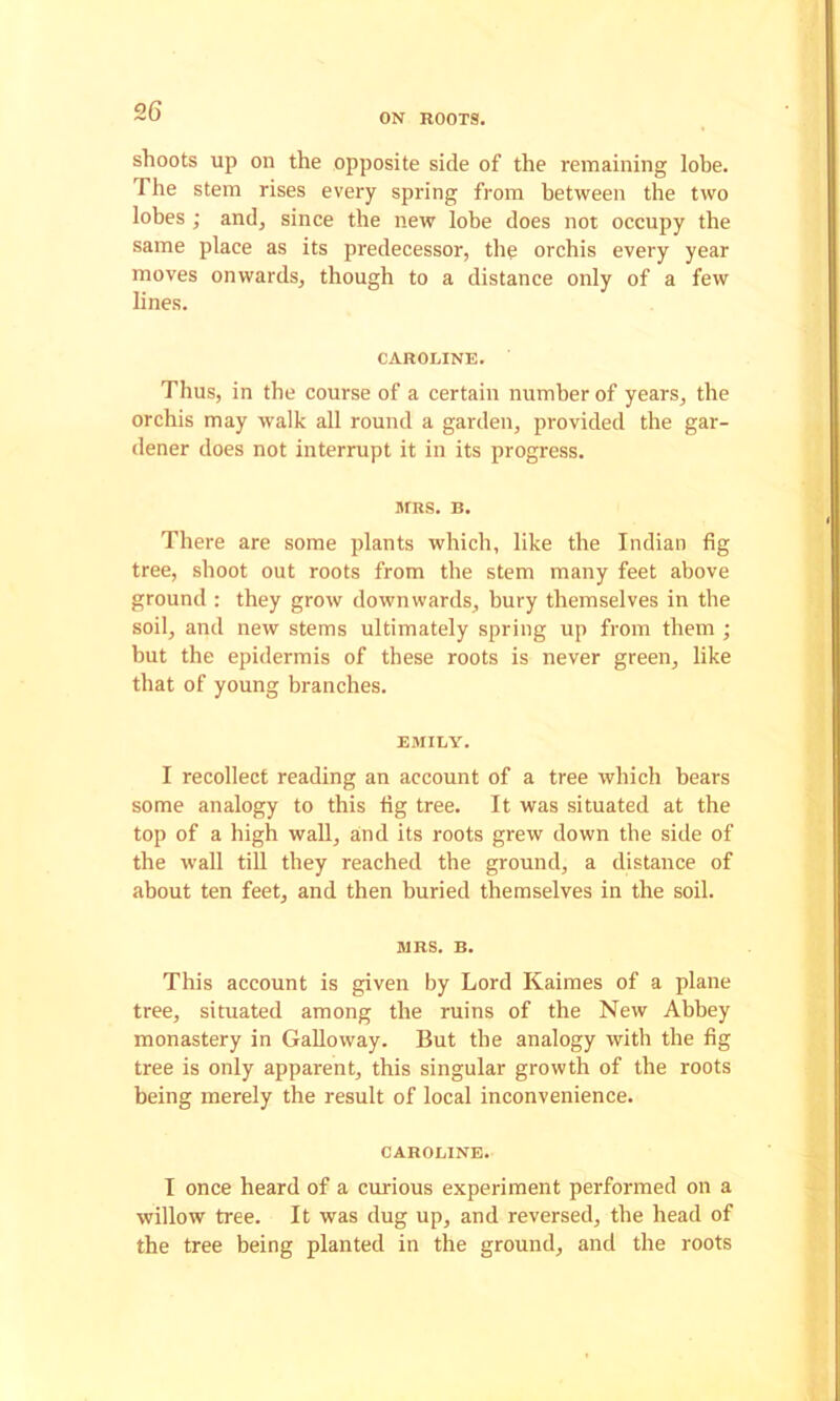 ON ROOTS. shoots up on the opposite side of the remaining lobe. The stem rises every spring from between the two lobes; and, since the new lobe does not occupy the same place as its predecessor, the orchis every year moves onwards, though to a distance only of a few lines. CAROLINE. Thus, in the course of a certain number of years, the orchis may walk all round a garden, provided the gar- dener does not interrupt it in its progress. MRS. B. There are some plants which, like the Indian fig tree, shoot out roots from the stem many feet above ground : they grow downwards, bury themselves in the soil, and new stems ultimately spring up from them ; but the epidermis of these roots is never green, like that of young branches. EMILY. I recollect reading an account of a tree which bears some analogy to this tig tree. It was situated at the top of a high waU, and its roots grew down the side of the wall till they reached the ground, a distance of about ten feet, and then buried themselves in the soil. MRS. B. This account is given by Lord Kaimes of a plane tree, situated among the ruins of the New Abbey monastery in Galloway. But the analogy with the fig tree is only apparent, this singular growth of the roots being merely the result of local inconvenience. CAROLINE. I once heard of a curious experiment performed on a willow tree. It was dug up, and reversed, the head of the tree being planted in the ground, and the roots