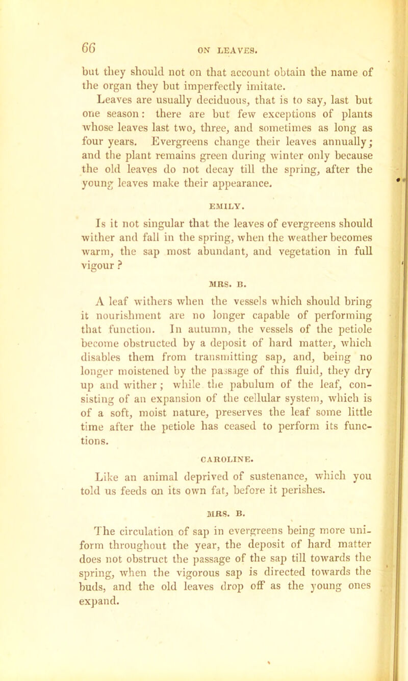 but they should not on that account obtain the name of the organ they but imperfectly imitate. Leaves are usually deciduous, that is to say, last but one season; there are but few exceptions of plants whose leaves last two, three, and sometimes as long as four years. Evergreens change their leaves annually; and the plant remains green during winter only because the old leaves do not decay till the spring, after the young leaves make their appearance. EMILY. Is it not singular that the leaves of evergreens should wither and fall in the spidng, when the weather becomes warm, the sap most abundant, and vegetation in full vigour ? JIRS. B. A leaf withers when the vessels which should bring it nourishment are no longer capable of performing that function. In autumn, the vessels of the petiole become obstructed by a deposit of hard matter, which disables them from transmitting sap, and, being no longer moistened by the passage of this fluid, they dry up and wither ; while the pabulum of the leaf, con- sisting of an expansion of the cellular system, which is of a soft, moist nature, preserves the leaf some little time after the petiole has ceased to perform its func- tions. CAROLINE. Like an animal deprived of sustenance, which you told us feeds on its own fat, before it perishes. MRS. B. The circulation of sap in evergreens being more uni- form throughout the year, the deposit of hard matter does not obstruct the passage of the sap till towards the spring, when the vigorous sap is directed towards the buds, and the old leaves drop off as the young ones expand.