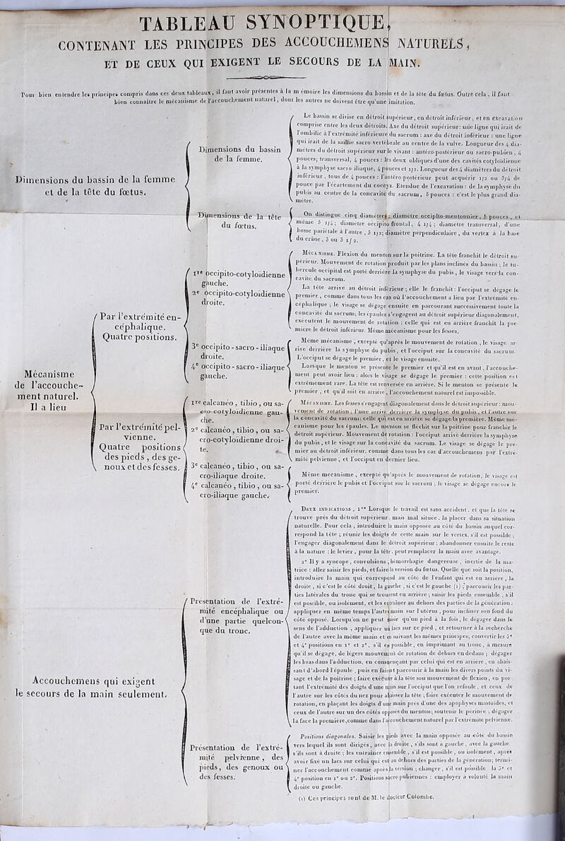 TABLEAU SYNOPTIQUE CONTENANT LES PRINCIPES DES ACCOUCHEMENT NATURELS, ET DE CEUX QUI EXIGENT LE SECOURS DE LA MAIN. ni tendre le* principes compris dans cce deux tableaux, il nvo'r présentes à la m çmoire les dimensions du bassin et de la tète du fœtus. Outre cela , Il faut bion connaître le mécanisme de l'accouchement naturel, dont les autres ne doivent être qu'une imitation. Le bassin se divise en détroit supérieur, en détroit inférieur, et e Dimensions du bassin de la femme cl de la tôle du fœtus. Dimensions du bassin de la femme. comprise entre les deux détroits. Axe du détroit supérieur: une ligne qui irait de l'ombilic à l'extrémité inférieure du sacrum : axe du détroit inférieur : une ligne qui irait de la saillie sacro-vertébrale au centre de In vulve. Longueur des 4 dja- I mettes du détroit supérieur sur le vivant : antéro-postérieur ou sucro-pubicn , 4 pouces; transversal, 4 pouces: 1rs deux obliques d'une des cavités colyloîdienuc a la symphyse sacio iliaque, 4p6ucescl i;a. Longueur des4 diamètres du détroit inférieur , tous de 4 pouces : l'antéro-postérieur peut acquérir 1/2 ou 3/4 de pouce par l’écartement du coccyx. Etendue de l’excavation : de la symphyse du pubis nu centre de lu concavité du sacrum. S pouces : c'est le plus grand dia- Mécnnisme de l’accouche- ment naturel. Il a lieu ! Par l’extremité pel- vienne. Quatre positions des pieds , des ge- noux et des fesses. Accouchcinens qui exigent le secours de la main seulement. Dimensions de la tète du fœtus. te occipito-cotyloïdienne gauche. 1 occipito-cotyloïdienne droite. ( Par l’extremité en- céphalique. Quatre positions. I 3e occipito-sacio-iliaque f droite. 4e occipito -sacro -iliaque gauche. irc calcanéo, tibio, ou sa- j-cotyloïdicnne gau- che. 0 calcauéo , tibio , ou sa- cro-colyloïdienne droi- te. 3e calcanéo, tibio , ou sa- cro-iliaque droite. 4e calcanéo , tibio , ou sa- cro-iliaque gauche. f Présentation de l’extré- mité encéphalique ou d’une partie quelcou-1 que du tronc. Présentation de l’extré- mité pelvienne , des pieds, des genoux ou des fesses. I On distingue cinq diamètre!.: djamètre occipUo-mcntonnicr, 5 pouces, 1.1 même S i/4 ; diamètre occipito frontal, 4 i/4 ; diamètre transversal, d'une 1 bosse pariétale à l'autre , 3 1/2; diamètre perpendiculaire, du verlex à Ja base . du crâne, 5 ou 3 1/2. Mècakismb. Flexion du menton sur la poitrine. La tète franchit le détroit su- périeur. Mouvement de rotation produit par les plans inclinés du bassin ; le tu - 1 *H|ÇU*C occipital est porté derrière la symphyse du pubis, le visage vcrs'Ja con- cavité, du sacrum. La tête arrive an détroit inférieur ; elle le franchit: l'occiput se dégage le premier , comme dans tous les cas où l'accouchement a lieu par l'extrémité en- épballque ; le Tisagc sc dégage ensuite en parcourant successivement toute la concavité du sacrum; les épaules s’engagent au détroit supérieur diagonalcmcnl, exécutent le mouvement de rotation : celle qui est en arrière franchit la pre- mière le détroit inférieur. Même.mécanisme pour les fesses. Même mécanisme, excepté qu’après le mouvement de rotation ,1e visage nr rnc derrière la symphyse du pubis, et l'occiput sur la concavité du sacrum. L’occiput sc dégage le premier, et le visage ensuite. Lorsque le menton sc présente le premier et qu’il est en avant, l'accouche- ment peut avoir lieu : alors le visage se dégage le premier : celte position es t extrêmement rare. La tête est renversée en arrière. Si le menton sc présente le • premier , et qu'il soit en arriére, l'accouchement naturel est impossible. Mécanisme. Les fesses s'engagent diagonalcmcnl dans le détroit supérieur : mou- vement de rotation ; l'une arme derrière Ja symphyse du pubis , el l'autre sur la concavilé du sacrum-, celle quf eslen arrière se dégage la première. Même mé- canisme pour les épaules. Le menton sc fléchit sur la poitrine pour franchir le détroit supérieur. Mouvement de rotation : l'occiput arrive derrière la symphyse. ‘ du pubis, et le visage sur la concavité du sacrum. Le visage se dégage le pre- mier au détroit inférieur, comme dans tous les cas d'accouebemcns par l'extre- îilé pelvienne, cl l’occiput en uernier lieu. Même mécanisme , excepté qu’a près le mouvement de rotation, le visage est porté derrière le pubis et l'occiput sur le sacrum ; le visage si: dégage encore le premier. Decx indications , 1” Lorsque le travail est sans accident. et que la tête sc ' trouve près du délioit supérieur, mais mal située, la placer dans sa situation naturelle. Pour cela , introduire la main opposée au côté du bassin auquel cor- espond la tête ; réunir les doigts de celte main sur le verlex. s’il est possible ; engager diagonalcmcnl dans le détroit supérieur: abandonner ensuite le reste- à la nature :1c levier, pour la tête, peut remplacer la niaiu avec avantage. • Il y a syncope, couvulsions , hémorrhagie dangereuse, inertie de la ma- J trice : aller saisir les pieds, cl faire la version du fœtus. Quelle que soit la position, | introduire la main qui correspond au côté de l'enfant qui est en arrière, la ] droite , si c’est le côté droit, la gauche , si c'est le gauche (t ) ; parcourir les par - | tics latérales du tronc qui se (routent eu arrière ; saisir les pieds ensemble , s'il est possible, ou isolément, et les éliminer au dehors des parties de la génération ; appliquer en même temps l’autrçuiain sur l'utérus , pour incliner son fond du côté opposé. Lorsqu'on ne peut saisir qu'un pied à la fois, le dégager dans le s de l'adduction , appliquer uilacs sur ce pied , et retourner à la recherche I de l'autre avec la même main et ci suivant les mêmes principes; convertir les ô' | et 4' positions en i« et 2*, s'il es possible, en imprimant au tronc, à mesure j qu’il se dégage, de légers mouvomiis de rotation de dehors en dedans ; dégager j lesbrasdans l'adduction, eu commnçanl par celui qui est en arrière, eu ahais- i sanl d'abord l'épaule , puis en faisait parcouiir à la main les divers points du vi- sage cl de la poitrine ; faire cxééultr à la tête sou mouvement de flexion, on por- tant l'extrémité des doigts d'une tijiin sur l’occiput que l'on refoule. et ceux de l'autre sur les côtés du liez pour «laisser la tète ; faire exécuter le mouvement de rotation, en plaçant les doigts d'une main près d'une des apophyses masloidcs, et ceux de l'autre sur un des côtés opposés du menton; soutenir le périnée ; dégager I la face la première,comme dans l'attouchement naturel par l'extrémité pelvienne. Positions diagonales. Saisir les pieds avec la main opposée ou côté du bassin vers lequel ils sont dirigés, avec la droite, s’ils sont n gauche, avec la gauche s'ils sont à droite ; les entraîner ensemble , s'il est possible , ou isolément, apte* r fixé un lacs sur celui qui est au dehors des parties de la génération; lernii- l 11er l'accouchement comme après la version ; changer, s’il est possible la 5* et | 4* position en ic ou 2e. Positions sacro pubiennes : employer a volonté la main droite ou gauche. (1) Ces principes sont de M. le docteur Colombe.