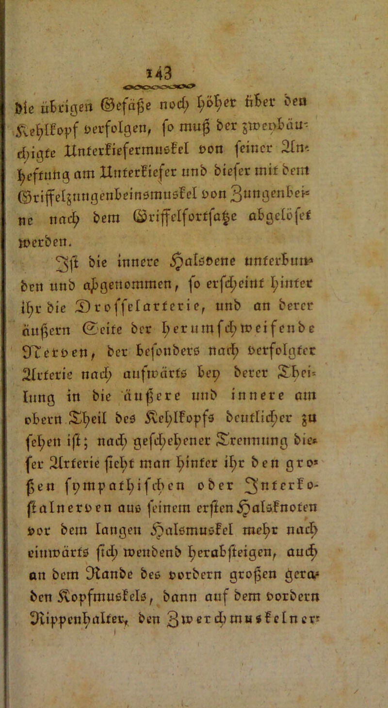 Me übrigen ©efäfe nod; t;öt;er über Öen ßefylfopf oerfolgen, fo muf her jtoeofcäu- d)igfc XlnterBiefermiißBel oon feiner 2tm fyeffung am HuferBiefer unö bieder mif bent ©riffeljungenBeinötnusfel oon 3«ngenbei* nc nacl; bera ©riffclforffafce abgeiöfet werben. °^ff bie innere jpalßocne unferButt* ben nnb angenommen, fo erfd;cint I;iirter il;r bie H)roffelarferie, unö an bercr au fern ©eite öcr I;erumfd;lt>eifcnöe STtetoen, bet Befonöerß narf) verfolgter 2lrfcric nad) aufwärfß £09 bercr Xbeb Imtg in bie 'nufere nnb innere am oBetn J£l;eil öcß ÄeflBopfß öcuf[icf>cr gu fel;ett iff; nad; gefd;el;ener Trennung bie*- fer Arterie (lebt man I;infcr if>r ben gro* fen fympafl;ifd>en ober 3ntcrBo' ftalneroen aus feinem erffen jpalßBnoten vor bem langen ^alßmußfel me^r nacl> einwärts fid) roenöenb I;eraBfteigcn, and) an bem Dtanbe öeß rorbern grofen gern* ben StopfmußBelö, bann auf bem oorbern Stippenbalter, ben 31®erdBrnnsBelncr?