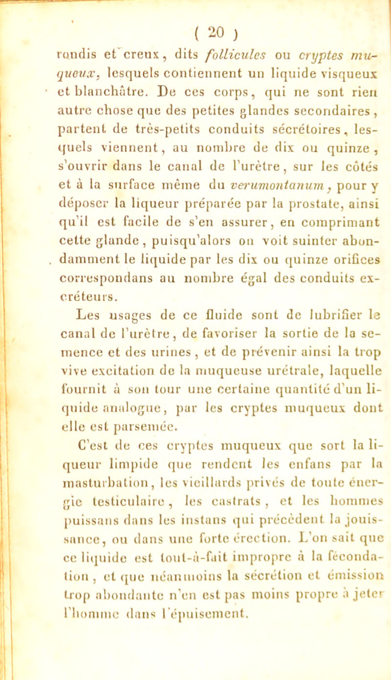 rendis et creux, dits follicules ou cryptes mu- queux, lesquels contiennent un liquide visqueux et blanchâtre. De ces corps, qui ne sont rien autre chose que des petites glandes secondaires , partent de très-petits conduits sécrétoires, les- quels viennent, au nombre de dix ou quinze, s’ouvrir dans le canal de l’urètre, sur les côtés et à la surface même du verumontanum, pour y déposer la liqueur préparée par la prostate, ainsi qu’il est facile de s’en assurer, en comprimant cette glande, puisqu’alors on voit suinter abon- damment le liquide par les dix ou quinze orifices correspondons au nombre égal des conduits ex- créteurs. Les usages de ce fluide sont de lubrifier le canal de l’urètre, de favoriser la sortie de la se- mence et des urines , et de prévenir ainsi la trop vive exeitation do la muqueuse urétrale, laquelle fournit à son tour une certaine quantité d'un li- quide analogue, par les cryptes muqueux dont elle est parsemée. C’est de ces cryptes muqueux que sort la li- queur limpide que rendent les enfans par la masturbation, les vieillards privés de toute éner- gie testiculaire, les castrats , et les hommes puissans dans les instans qui précèdent la jouis- sance, ou dans une forte érection. L’on sait que ce liquide est lout-ù-fait impropre à la féconda- tion , et que néanmoins la sécrétion et émission trop abondante n’en est pas moins propre à jeter l’homme dans l'épuisement.