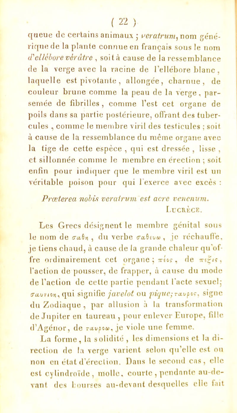 queue de certains animaux ; vcratrum, nom ge'né- riqufi de la plante connue en français sous le nom d'ellébore vérâtre , soit à cause de la ressemblance de la verge avec la racine de l’ellébore blanc, laquelle est pivotante, allongée, charnue, de couleur brune comme la peau de la verge, par- semée de fibrilles , comme l’est cet organe de poils dans sa partie postérieure, offrant des tuber- cules , comme le membre viril des testicules ; soit à cause de la ressemblance du même organe avec la tige de cette espèce , qui est dressée , lisse , et sillonnée comme le membre en érection ; soit enfin pour indiquer que le membre viril est un véritable poison pour qui l'exerce avec excès : Præterea nobùs vcralnnn est acre venenum. Lucrèce. Les Grecs désignent le membre génital sous lu nom de crai» , du verbe <ra6ev!», je réchauffe, je tiens chaud, à cause de la grande chaleur qu’of- fre ordinairement cet organe ; xio> , de xs£iv, l'action de pousser, do frapper, à cause du mode de l’action de cette partie pendant l'acte sexuel,- favncv, qui signifie javelot ou ]iiquc;-a.vptç. signe du Zodiaque, par allusion à la transformation de Jupiter en taureau , pour enlever Europe, fille d’Agénor, de ra-upow, je viole une femme. La forme, la solidité , les dimensions et la di- rection de la verge varient selon qu'elle est ou non en état d’érection. Dans le second cas, elle, est cylindroïde , molle, courte , pendante au-de- vant des bourses au-devant desquelles elle fait