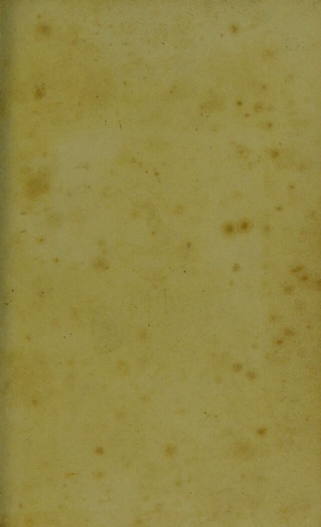 digitised image 3