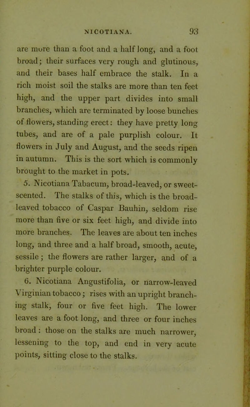 are mure than a foot and a half long, and a foot broad; their surfaces very rough and glutinous, and their bases half embrace the stalk. In a rich moist soil the stalks are more than ten feet high, and the upper part divides into small branches, which are terminated by loose bunches of flowers, standing erect: they have pretty long tubes, and are of a pale purplish colour. It flowers in July and August, and the seeds ripen in autumn. This is the sort which is commonly brought to the market in pots. 5. Nicotiana Tabacum, broad-leaved, or sweet- scented. The stalks of this, which is the broad- leaved tobacco of Caspar Bauhin, seldom rise more than five or six feet high, and divide into more branches. The leaves are about ten inches long, and three and a half broad, smooth, acute, sessile; the flowers are rather larger, and of a brighter purple colour. 6. Nicotiana Angustifolia, or narrow-leaved Virginian tobacco; rises with an upright branch- ing stalk, four or five feet high. The lower leaves are a foot long, and three or four inches broad : those on the stalks are much narrower, lessening to the top, and end in very acute points, sitting close to the stalks.
