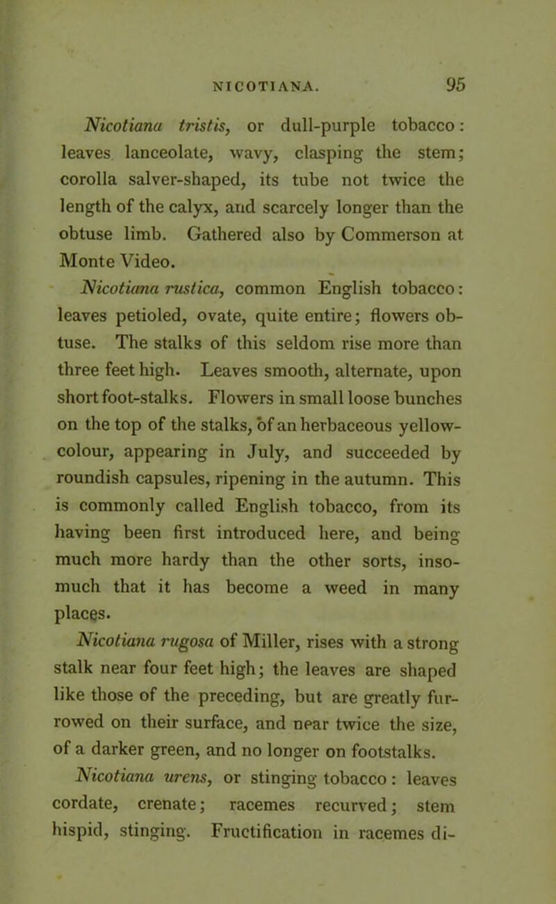 Nicotiana tristis, or dull-purple tobacco: leaves lanceolate, wavy, clasping the stem; corolla salver-shaped, its tube not twice the length of the calyx, and scarcely longer than the obtuse limb. Gathered also by Commerson at Monte Video. Nicotiana ruslica, common English tobacco: leaves petioled, ovate, quite entire; flowers ob- tuse. The stalks of this seldom rise more than three feet high. Leaves smooth, alternate, upon short foot-stalks. Flowers in small loose bunches on the top of the stalks, of an herbaceous yellow- colour, appearing in July, and succeeded by roundish capsules, ripening in the autumn. This is commonly called English tobacco, from its having been first introduced here, and being much more hardy than the other sorts, inso- much that it has become a weed in many places. Nicotiana rugosa of Miller, rises with a strong stalk near four feet high; the leaves are shaped like those of the preceding, but are greatly fur- rowed on their surface, and near twice the size, of a darker green, and no longer on footstalks. Nicotiana urens, or stinging tobacco: leaves cordate, crenate; racemes recurved; stem hispid, stinging. Fructification in racemes di-