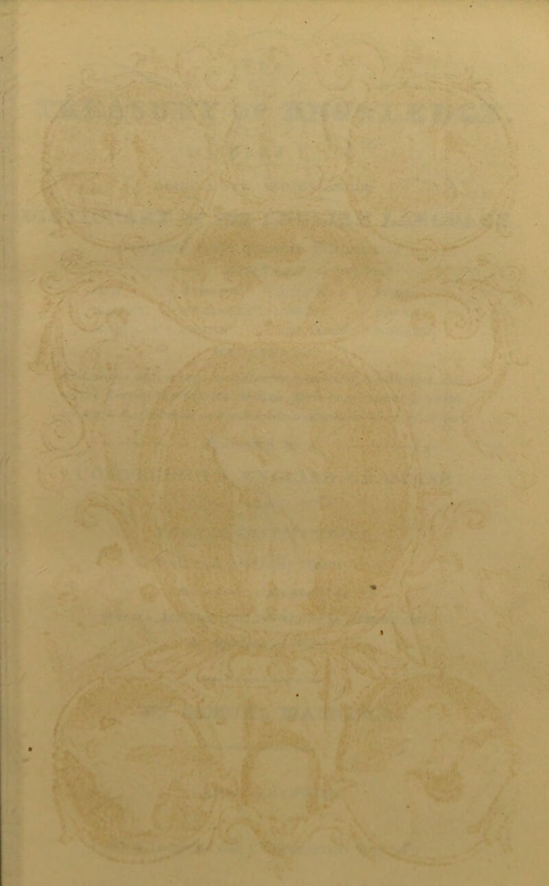 ii ^ f * f.v. - /- / c^_. S''-4 . • ^ u % 4 ' h4? ^ ''v Aj:,;‘?^''7 ''. - ' < .' ..'. 'i- '.Ki * >lt‘■i-'Zit, - V ^ ►'-••::r r : i ^ f. /<*•■'{»■ V'.-' f r -■ ' •'5 ■ ■’_ 13 i Kl.}'