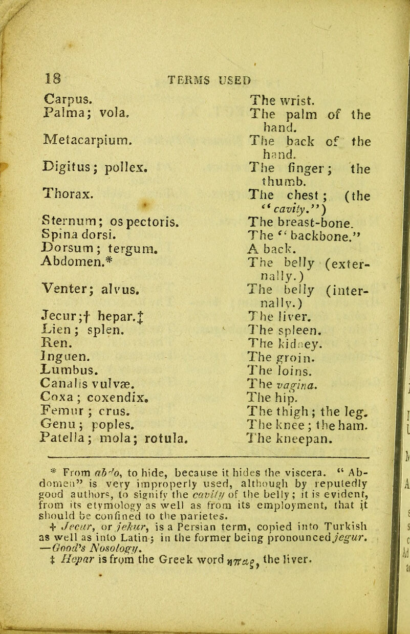 Carpus. Palma; vola. Metacarpium. Digitus; pollex. Thorax. f Sternum; os pectoris. Spina dorsi. Dorsum; tergura. Abdomen.* Venter; alvus. Jecur;f hepar.J Dien; splen. Ren. Inguen. Rumbus. Canalis vulvas. Coxa; coxendix. Femur ; crus. Genu; poples. Patella; mola; rotula. The wrist. The palm of the hand. The back of the hand. The finger; the thumb. The chest; (the cavity.’*) The breast-bone. The backbone.’’ A back. The belly (exter- nally.) The belly (inter- na) Iv.) The liver. TTe spleen. The kid.ney. The groin. The loins. The vaQ-'ina. The hip. The thigh ; the leg. The knee; t he ham. l‘he kneepan. * From ah'^o^ to hide, because it hides the viscera. “ Ab- domen” is very improperly used, although by reputedly good autliors, to signify the cavity of the belly; it is evident, from its etymology as well as from its employment, that it sliould be confined to the parietes. + Jecar, or Jekur, is a Persian term, copied into Turkish as well as into Latin j in the former being pronouncedy<?g«r. — Good’s Nosolog'y. t Hopar is from the Greek word the liver.