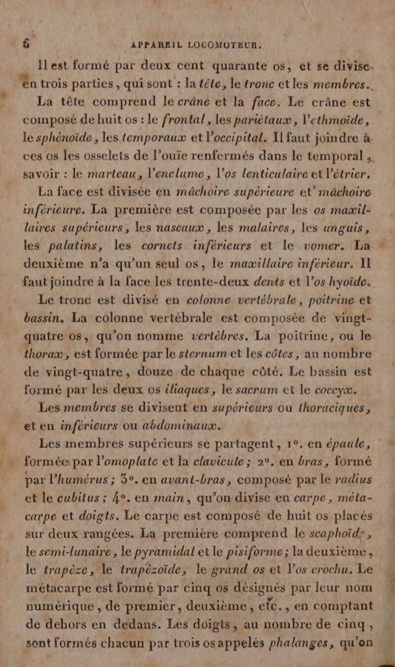 À La tête comprend le crâne et la face. Le crâne est composé de huit os : le frontal, les pariétaux , l’ethmoïde, le sphénoïde , les temporaux et loccipital. T1 faut joindre à savoir : le marteau, l’enclume , l'os lenticulaire et létrier. La face est divisée en mâchoire supérieure et' mâchoire inférieure. La première est composée par les os maæil- laires supérieurs, les naseaux , les malaires, les unguis, deuxième n’a qu’un seul os, le mawillaire inférieur. XI Le tronc est divisé en colonne vertébrale, poitrine et bassin. La colonne vertébrale est composée de vingt- thorax , est formée par le sternum et les côtes, au nombre de vingt-quatre, douze de chaque côté. Le bassin est formé par les deux os iliaques, le sacrum et le coccyx. Les membres se divisent en supérieurs ou thoraciques, Les membres supérieurs se partagent , 1°. en épaule, par l’humérus ; 5°. en avant-bras, composé par le radius et le cubitus ; 4°. en main, qu’on divise en carpe , méta- carpe et doigts. Le carpe est composé de huit os placés sur deux rangées. La première comprend le scaphoïde , le semi-lunaire , le pyramidal et le pisiforme ; la deuxième, le trapèze, le trapèzoïide, le grand os et los crochu. Le métacarpe est formé par cinq os désignés par leur nom numérique , de premier, deuxième , elc., en comptant de dehors en dedans. Les doigts, au nombre de cinq, sont formés chacun par trois osappelés phalanges, qu ‘en &amp; de -