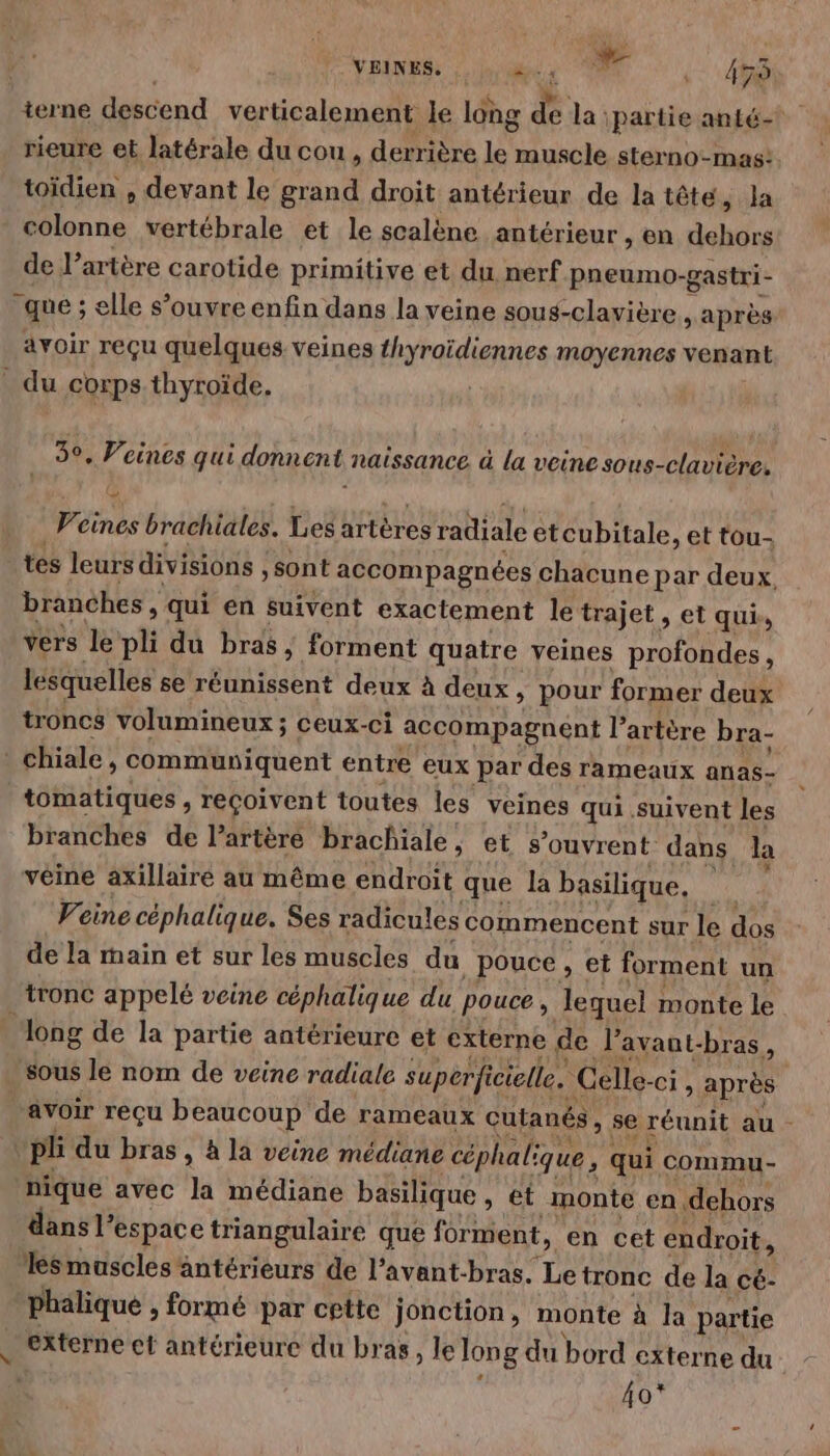 VEINES, Me à 8 | - 479 terne HeéCend verticalement le long de la: partie anté- rieure et latérale du cou, derrière FA muscle sterno-mas: toïdien , devant le grand droit antérieur de la tête, Ja colonne vertébrale et le scalène antérieur , en dehors de l’artère carotide primitive et du nerf pneumo- gastri- que ; elle s’ouvre enfin dans la veine sous-clavière, après avoir reçu quelques, veines thyroïdiennes moyennes venant du corps thyroïde. 3°, Veines qui donnent naissance. à la veine sous-clavière. Veines brachiales. Lesartères radiale etcubitale, et tou- tes leurs divisions , sont accompagnées chacune par deux, branches, qui en suivent exactement le trajet , et qui, vers le pli du bras, forment quatre veines profondes, lesquelles se réunissent deux à deux, pour former deux troncs volumineux ; ceux-ci accompagnent l'artère bra- chiale, communiquent entre eux par des rameaux anas- tomatiques , reçoivent toutes les veines qui suivent les branches de l’artèré brachiale , et s'ouvrent dans la véine axillairé au même endroit que la basilique, Veine céphalique. Ses radicules commencent sur le dos de la main et sur les muscles du pouce, et forment un tronc appelé veine céphalique du pouce, lequel monte le ong de la partie antérieure et externe de l’avant-bras, sous le nom de veine radiale superfic icielle. Celle- Ci, après avoir reçu beaucoup de rameaux cutanés se réunit au - pl du bras , à la veine médiane céphali que, qui commu- nique avec la médiane basilique , et monte en dehors dans l’espace triangulaire que forment, en cet endroit, es muscles antérieurs de l’avant-bras. Le tronc de la cé- phalique , formé par cette jonction, monte à la partie externe ef antérieure du bras, le long du bord externe du 40*