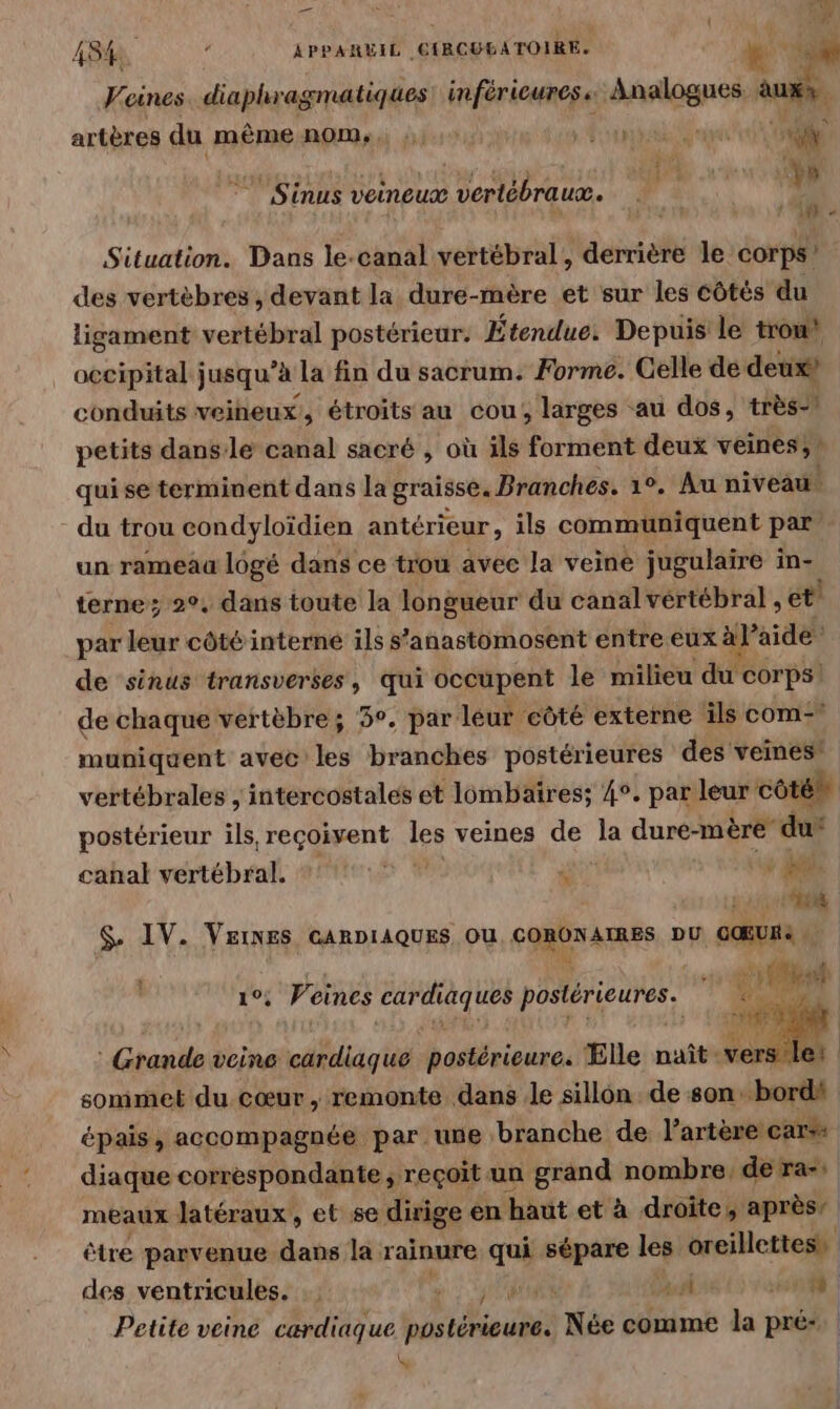 — : A 48 + APPAREIL CIRCUBATOIRE. 1 PL Veines. diaphragmatiques! inférieures. Analogues. tn, artères du même nom, né DAT RD NN ; jé u ‘Sinus veineux vertébrauæ. 1 Situation. Dans le-canal vertébral, derrière le corps! des vertèbres, devant la dure-mère et sur les côtés du ligament vertébral postérieur. Étendue. Depuis le trou’ occipital jusqu’à la fin du sacrum. Forme. Celle dé deux? conduits veineux, étroits au cou, larges au dos, très- petits dans:le canal sacré , où ils forment deux veines;} qui se terminent dans la graisse. Branches. 1°, Au niveau. - du trou condyloïdien antérieur , ils communiquent par un rameaa logé dans ce trou avec la veine jugulaire in- terne; 2°, dans toute la longueur du canal vértébral , et. par leur côté interne ils s’anastomosent entre eux àl aide de sinus transverses, qui occupent le milieu du corps! de chaque vertèbre; 5°. par leur côté externe ils com- muniquent avec les branches postérieures des veines” vertébrales , intercostales et lombaires; 4°. par leur côté postérieur ils, reçoivent les veines de la dure-mère du‘ canal vertébral. ? sm F + Mi da $. IV. VEINES GARDIAQUES Ou CORONAES DU CŒUR: : Voines card HAHre postérieures. | F. Grande veine cardiaque postérieure. Elle naît-vers let sommet du cœur, remonte dans Je sillon de son, bord épais, accompagnée par. une branche de l'artère cars diaque corréspondante, reçoit un grand nombre, de ra-: meaux : Jatéraux, et se dirige en haut et à droite, après” être parvenue dans la rainure qui eee les oreillettess des ventricules. ; PAP 7 D sf Petite veine cardiaque as eue Née comme #0 pré- |