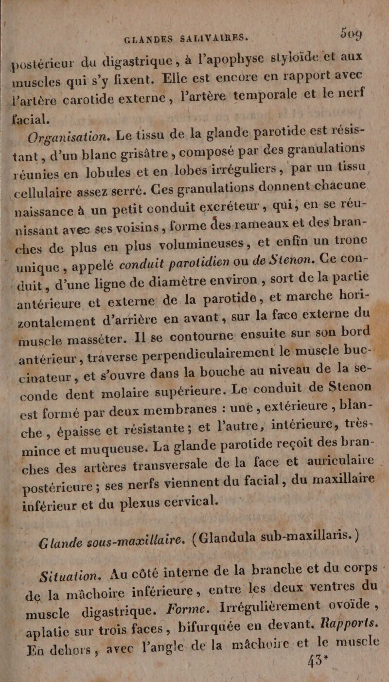 GLANDES SALIVALRES. 209 postérieur du digastrique , à l’apophyse slyloide et aux muscles qui s’y fixent. Elle est encore en rapport avec l'artère carotide externe, l'artère temporale et le nerf facial. Organisation. Le tissu de la glande parotide est résis- tant, d’un blanc grisâtre ; composé par des granulations réunies en lobules.et en lobes irréguliers , par un tissu cellulaire assez serré. Ces granulations donnent chacune naissance à un petit conduit excréteur , qui, en se réu- nissant avec ses voisins ; forme des rameaux et des bran- -ches de plus en plus volumineuses, et enfin un tronc unique , appelé conduit parotidien ou de Stenon. Ce con- duit, d’une ligne de diamètre environ , sort de la partie antérieure et externe de la parotide, et marche hori- zontalement d’arrière en avant, Sur la face externe du “nuscle masséter. Il se contourne ensuite sur son bord antérieur , traverse perpendiculairement le muscle buc- cinateur , et s'ouvre dans la bouche au niveau de la se- | conde dent molaire supérieure. Le conduit de Stenon est formé par deux membranes : une, extérieure ,blan-_ che , épaisse et résistante ; et l’autre, intérieure, très- mince et muqueuse. La glande parotide reçoit des bran- ches des artères transversale de La face et auriculaire postérieure ; ses nerfs viennent du facial, du maxillaire inférieur et du plexus cervical. | Glande sous-maæillaire. (Glanäula sub-maxillaris. ) Situation. Au côté interne de la branche et du corps : de la mâchoire inférieure, entre les deux ventres du muscle digastrique. Forme. Irréguliérement ovoïde , aplatie sur trois faces, bifurquée en devant. Rapports. En dehors, avec l'angle de la mâchoire et le muscle 45°