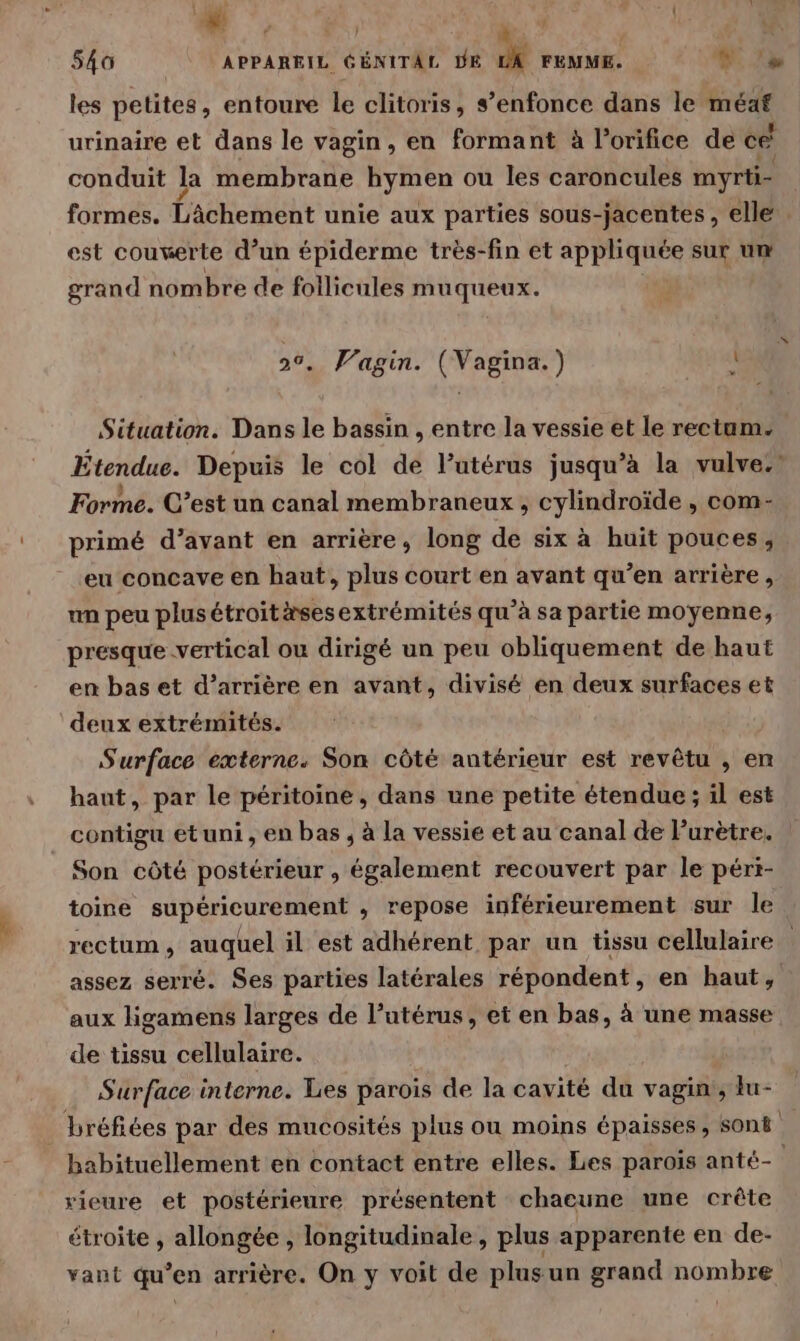 les petites, entoure le clitoris, s’enfonce dans le méaf urinaire et dans le vagin, en formant à l’orifice de ce conduit la membrane hymen ou les caroncules myrti- formes. L'âchement unie aux parties sous-jacentes, elle est couverte d’un épiderme très-fin et appliquée sur um grand nombre de follicules muqueux. 26. Vagin. (Vagina.) LL de Situation. Dans le bassin , entre la vessie et le rectum. Étendue. Depuis le col de l’utérus jusqu’à la vulve.! Forme. C’est un canal membraneux , cylindroïde , com- primé d’avant en arrière, long de six à huit pouces, eu concave en haut, plus court en avant qu’en arrière, un peu plus étroitsesextrémités qu’à sa partie moyenne, presque vertical ou dirigé un peu obliquement de haut en bas et d’arrière en avant, divisé en deux surfaces et deux extrémités. Surface externe. Son côté antérieur est revêtu , en haut, par le péritoine, dans une petite étendue ; il est contigu etuni, en bas , à la vessie et au canal de Purètre. Son côté postérieur , également recouvert par le péri- toine supéricurement , repose inférieurement sur le rectum, auquel il est adhérent par un tissu cellulaire assez serré. Ses parties latérales répondent, en haut, aux ligamens larges de l'utérus, et en bas, à une masse de tissu cellulaire. Surface interne. Les parois de la cavité du vagin, Lu- _ bréfiées par des mucosités plus ou moins épaisses, Sonë&amp; habituellement en contact entre elles. Les parois anté- rieure et postérieure présentent chacune une crête étroite , allongée , longitudinale, plus apparente en de- vant qu’en arrière. On y voit de plusun grand nombre