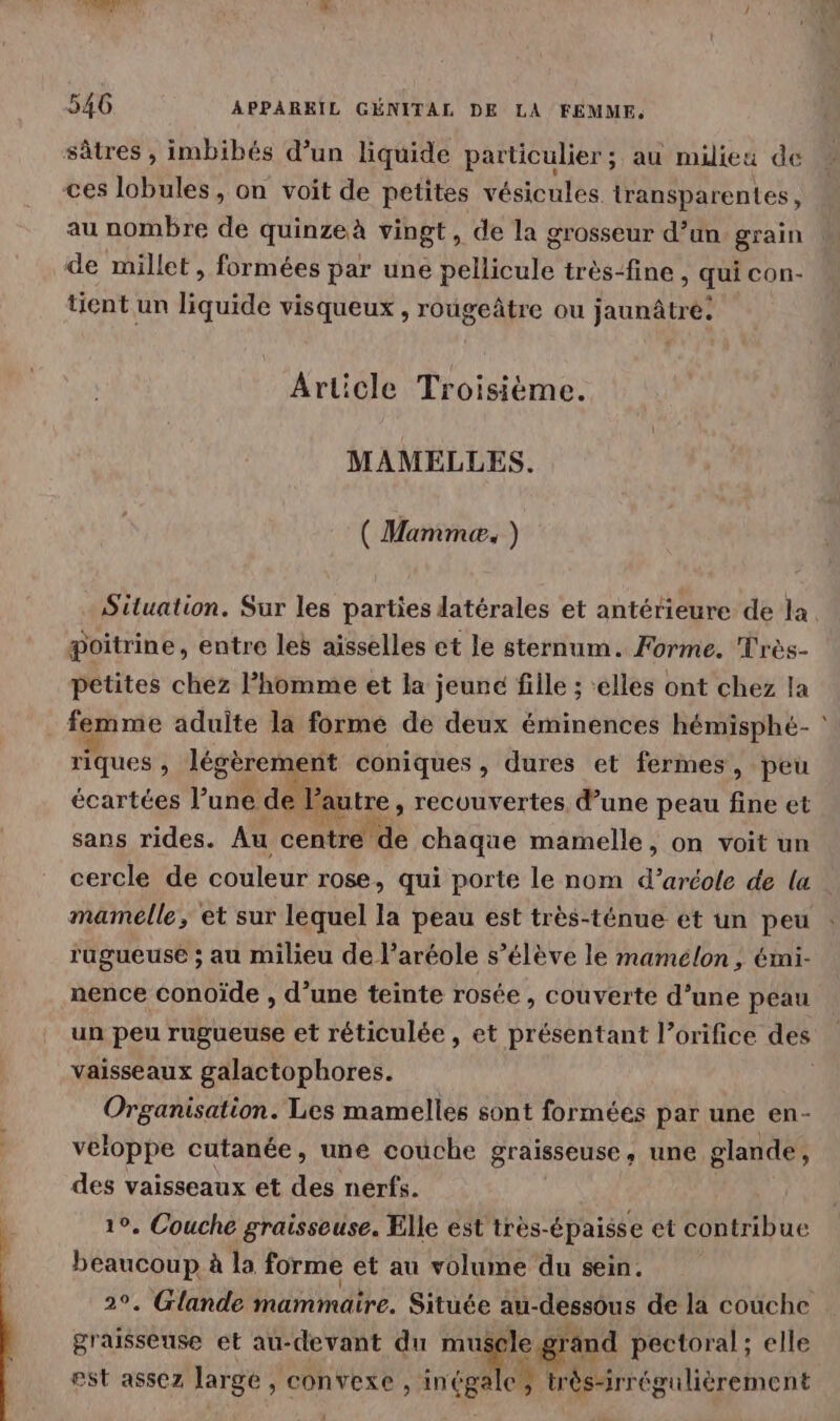 sâtres , imbibés d’un liquide particulier; au miieu de ces lobules, on voit de petites vésicules transparentes, au nombre de quinze à vingt, de la grosseur d’un grain de millet, formées par une Wirbbute très-fine, qui con- tient un liquide visqueux, rougeâtre ou jaunâtre. ArUcle Troisiéme. MAMELLES. ( Mammæ, ) Situation. Sur les parties latérales et antérieure de la poitrine, entre les aisselles et le sternum. Forme. Très- pétites chez l’homme et la jeune fille ; ‘elles ont chez la femme adulte la forme de deux éminences hémisphé- riques , légèrement coniques, dures et fermes, peu écartées l’une de Vautre, recuuvertes d’une peau fine et sans rides. Au centre de chaque mamelle, on voit un cercle de couleur rose, qui porte le nom d’aréole de la mamelle, et sur lequel la peau est très-ténue et un peu rugueuse ; au milieu de l’aréole s’élève le mamélon, émi- nence conoïde , d’une teinte rosée , couverte d’une peau vaisseaux galactophores. Organisation. Les mamelles sont formées par une en- veloppe cutanée, une couche graisseuse, une glande, des vaisseaux et des nerfs. 10. Couche graisseuse. Elle est très-épaisse et contribue spa à la forme et au volume du sein. graisseuse et au-devant du Mn: grand pectoral ; elle est assez large , convexe , inçga à trés-irrégulièrement