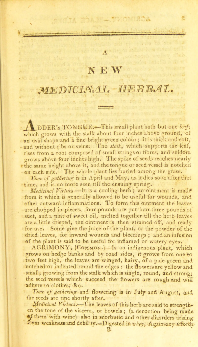 A N E W MEDICINAL, HERBAL. j^_DDEPc’s TONGUE.~-This small plant hath but one lenj, which grows with the stalk about four inches above ground, of an oval shape and a fine bright green colour; it is thick and soft, and without ribs or veins. I'he stalk, which supports the leaf, rises from a root composed of small strings or fibres, and seldom gro ws above four inches high. The spike of seeds reaches nearly the same height above it, and the tongue or seed vessel is notched on each side. The whole plant lies buried among the grass. Time of gathering is in April and May, as it dies soon after that time, and is no more seen till the ensuing spring. Medicinal Virtues.—It is a cooling herb; an ointment is mad^ from it which is generally allowed to be useful for wounds, and other outward inflammations. To form this ointment the leave? are chopped in pieces, four pounds are put into three pounds of suet, and a pint of sweet oil, melted together till the herb leaves are a little crisped, the ointment is then strained off', and ready for use. Some give the juice of the plant, or the powder of the dried leaves, for inward wounds and bleedings ; and an infusion of the plant is said to be useful for inflamed or watery eyes. AGH1MONY, (Common.)—Is an indigenous plant, which grows on hedge banks and by road sides, it grows from one to two feet high, the leaves are winged, hairy, of a pale green and notched or indented round the edges : the flowers are yellow and small, growing from the stalk which is single, round, and strong; the seed vessels which succeed the flowers are rough and wiU adhere to clothes, &c. Time of gathering and flowering is in July and August, and the seeds are ripe shortly after. Medicinal Virtues.—The leaves of this herb are said to strength- en the tone of the viscera, or bowels ; (a decoction being made them with wine) also in scorbutic and other disorders arising £rom weakness and debility.—Digested in -a hey, A Brim on y aTords B