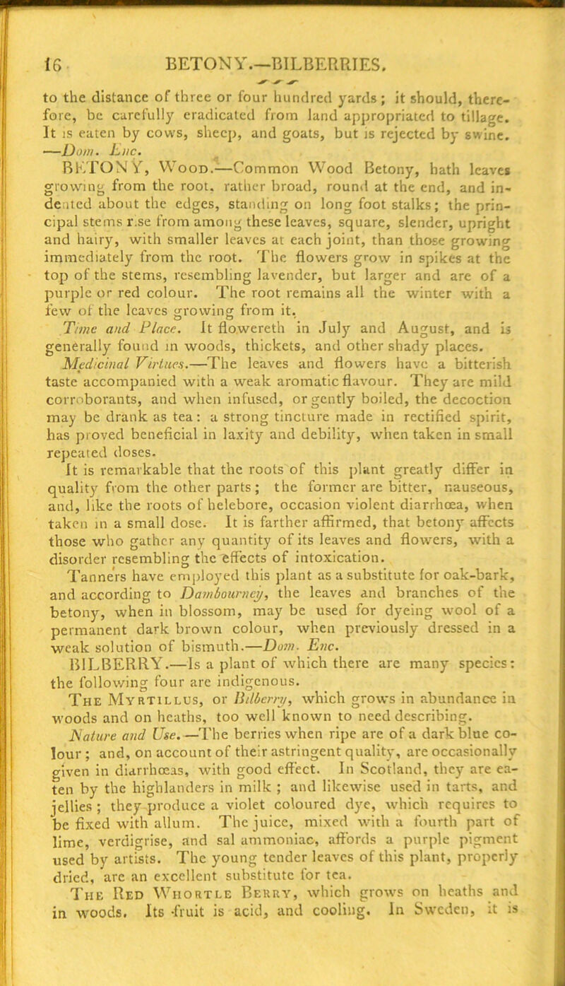 to the distance of three or four hundred yards ; it should, there- fore, be carefully eradicated from land appropriated to tillage. It is eaten by cows, sheep, and goats, but is rejected by swine. —Dow. Enc. BETONY, Wood.—Common Wood Betony, hath leaves growing from the root, rather broad, round at the end, and in- dented about the edges, standing on long foot stalks; the prin- cipal stems r.se from among these leaves, square, slender, upright and hairy, with smaller leaves at each joint, than those growing immediately from the root. The flowers grow in spikes at the top of the stems, resembling lavender, but larger and are of a purple or red colour. The root remains all the winter with a few of the leaves growing from it. Time and Place. It flowereth in July and August, and is generally found in woods, thickets, and other shady places. Medicinal Virtues.—The leaves and flowers have a bitterish taste accompanied with a weak aromatic flavour. They are mild corroborants, and when infused, or gently boiled, the decoction may be drank as tea: a strong tincture made in rectified spirit, has proved beneficial in laxity and debility, when taken in small repeated doses. It is remarkable that the roots of this plant greatly differ in qualit)' from the other parts; the former are bitter, nauseous, and, like the roots of helebore, occasion violent diarrhoea, when taken in a small dose. It is farther affirmed, that betony affects those who gather any quantity of its leaves and flowers, with a disorder resembling the effects of intoxication. Tanners have employed this plant as a substitute for oak-bark, and according to Dam bouncy, the leaves and branches of the betony, when in blossom, may be used for dyeing wool of a permanent dark brown colour, when previously dressed in a weak solution of bismuth.—Dom. Eve. BILBERRY.—Is a plant of which there are many species: the following four are indigenous. The Myrtillus, or Bilberry, which grows in abundance in woods and on heaths, too well known to need describing. Nature and Use.—The berries when ripe are of a dark blue co- lour ; and, on account of their astringent quality, are occasionally given in diarrhoeas, with good effect. In Scotland, they are ea- ten by the highlanders in milk ; and likewise used in tarts, and jellies ; they produce a violet coloured dye, which requires to be fixed with allum. The juice, mixed with a fourth part of lime, verdigrise, and sal ammoniac, affords a purple pigment used by artists. The young tender leaves of this plant, properly dried, are an excellent substitute for tea. The Red Whortle Berry, which grows on heaths and in woods. Its -fruit is acid, and cooling. In Sweden, it is