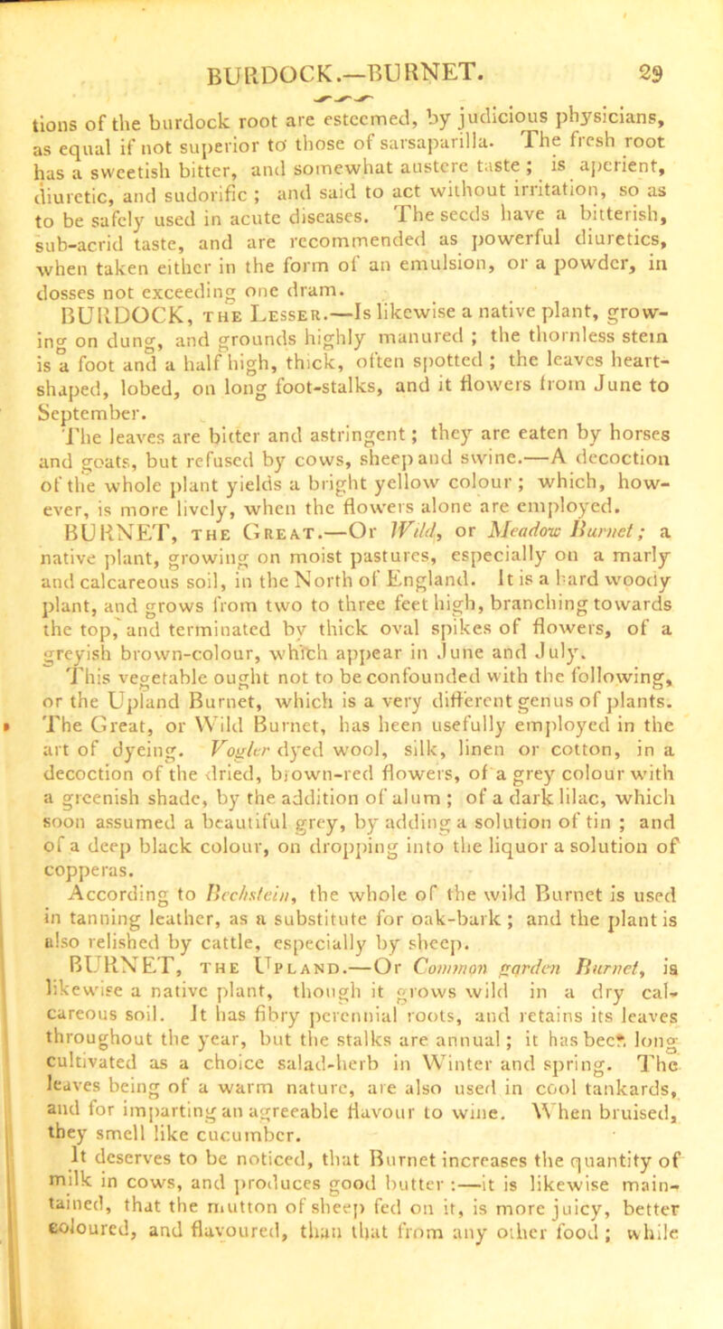 tions of the burdock root are esteemed, by judicious physicians, as equal if not superior to those of sarsaparilla. The fresh root has a sweetish bitter, and somewhat austeie taste , is aperient, diuretic, and sudorific ; and said to act without irritation, so as to be safely used in acute diseases. The seeds have a bitterish, sub-acrid taste, and are recommended as powerful diuretics, when taken either in the form ot an emulsion, or a powder, in dosses not exceeding one dram. BURDOCK, the Lesser.—Is likewise a native plant, grow- incr on dune, and grounds highly manured ; the thornless stein is a foot and a half high, thick, often spotted ; the leaves heart- shaped, lobed, on long foot-stalks, and it flowers from June to September. The leaves are bitter and astringent; they are eaten by horses and goats, but refused by cows, sheep and swine.—A decoction of the whole plant yields a bright yellow colour ; which, how- ever, is more lively, when the flowers alone are employed. BURNET, the Great.—Or Wild, or Meadow Burnet; a native plant, growing on moist pastures, especially on a marly and calcareous soil, in the North of England. It is a hard woody plant, and grows from two to three feet high, branching towards the top, and terminated by thick oval spikes of flowers, of a greyish brown-colour, wh'ffch appear in June and July. This vegetable ought not to be confounded with the following, or the Upland Burnet, which is a very different genus of plants. The Great, or Wild Burnet, has been usefully employed in the art of dyeing. Voglcr dyed wool, silk, linen or cotton, in a decoction of the dried, bjown-red flowers, of a grey colour with a greenish shade, by the addition of alum ; of a dark lilac, which soon assumed a beautiful grey, by adding a solution of tin ; and of a deep black colour, on dropping into the liquor a solution of copperas. According to Bec/is/ein, the whole of the wild Burnet is used in tanning leather, as a substitute for oak-bark ; and the plant is also relished by cattle, especially by sheep. BURNET, the Up land.—Or Common garden Burnet, is lik ewise a native plant, though it grows wild in a dry cal- careous soil. Jt has fibry perennial roots, and retains its leaves throughout the year, but the stalks are annual; it has bee*, long- cultivated as a choice salad-herb in Winter and spring. The leaves being of a warm nature, are also used in cool tankards, and tor imparting an agreeable flavour to wine. When bruised, they smell like cucumber. It deserves to be noticed, that Burnet increases the quantity of milk in cows, and produces good butter :—it is likewise main- tained, that the mutton of sheep fed on it, is more juicy, better coloured, and flavoured, than that from any oilier food; while