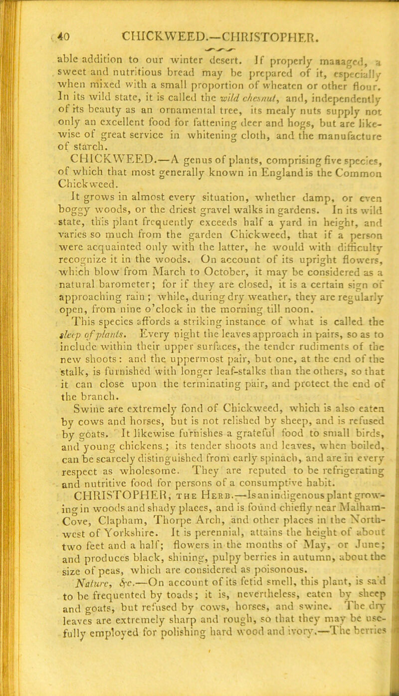 able addition to our winter desert. If properly maaagcd, a sweet and nutritious bread may be prepared of it, especially when mixed with a small proportion of wheaten or other flour. In its wild state, it is called the mild chcsnut, and, independently of its beauty as an ornamental tree, its mealy nuts supply not only an excellent food for fattening deer and hogs, but are like- wise of great service in whitening cloth, and the manufacture of starch. CHICKWEED.—A genus of plants, comprising five species, of which that most generally known in England is the Common Chick weed. It grows in almost every situation, whether damp, or even boggy woods, or the driest gravel walks in gardens. In its wild state, this plant frequently exceeds half a yard in height, and varies so much from the garden Chickweed, that if a person were acquainted only with the latter, he would with difficulty recognize it in the woods. On account of its upright flowers, which blow from March to October, it may be considered as a natural barometer; for if they are closed, it is a certain si^n of approaching rain ; while, during dry weather, they are regularly open, from nine o’clock in the morning till noon. This species affords a striking instance of what is called the sleep of plants. Every night the leaves approach in pairs, so as to include within their upper surfaces, the tender rudiments of the new shoots: and the uppermost pair, but one, at the end of the stalk, is furnished with longer leaf-stalks than the others, so that it can close upon the terminating pair, and protect the end of the branch. Swine are extremely fond of Chickweed, which is also eaten by cows and horses, but is not relished by sheep, and is refused by goats. It likewise furnishes a grateful food to small birds, and young chickens ; its tender shoots and leaves, when boiled, can be scarcely distinguished from early spinach, and are in every respect as wholesome. They are reputed to be refrigerating and nutritive food for persons of a consumptive habit. CHRISTOPHER, the Here.—-Is an indigenous plant grow- ing in woods and shady places, and is found chiefly near Malham- Cove, Clapham, Thorpe Arch, and other places in the North- west of Yorkshire. It is perennial, attains the height of about two feet and a half; flowers in the months of May, or June; and produces black, shining, pulpy berries in autumn, about the : size of peas, which are considered as poisonous. Nature, Jj-c,—On account of its fetid smell, this plant, is sad to be frequented by toads; it is, nevertheless, eaten by sheep and goats, but refused by cows, horses, and swine. The dry- leaves are extremely sharp and rough, so that they may be use- > fully employed for polishing hard wood and ivory.—The berries