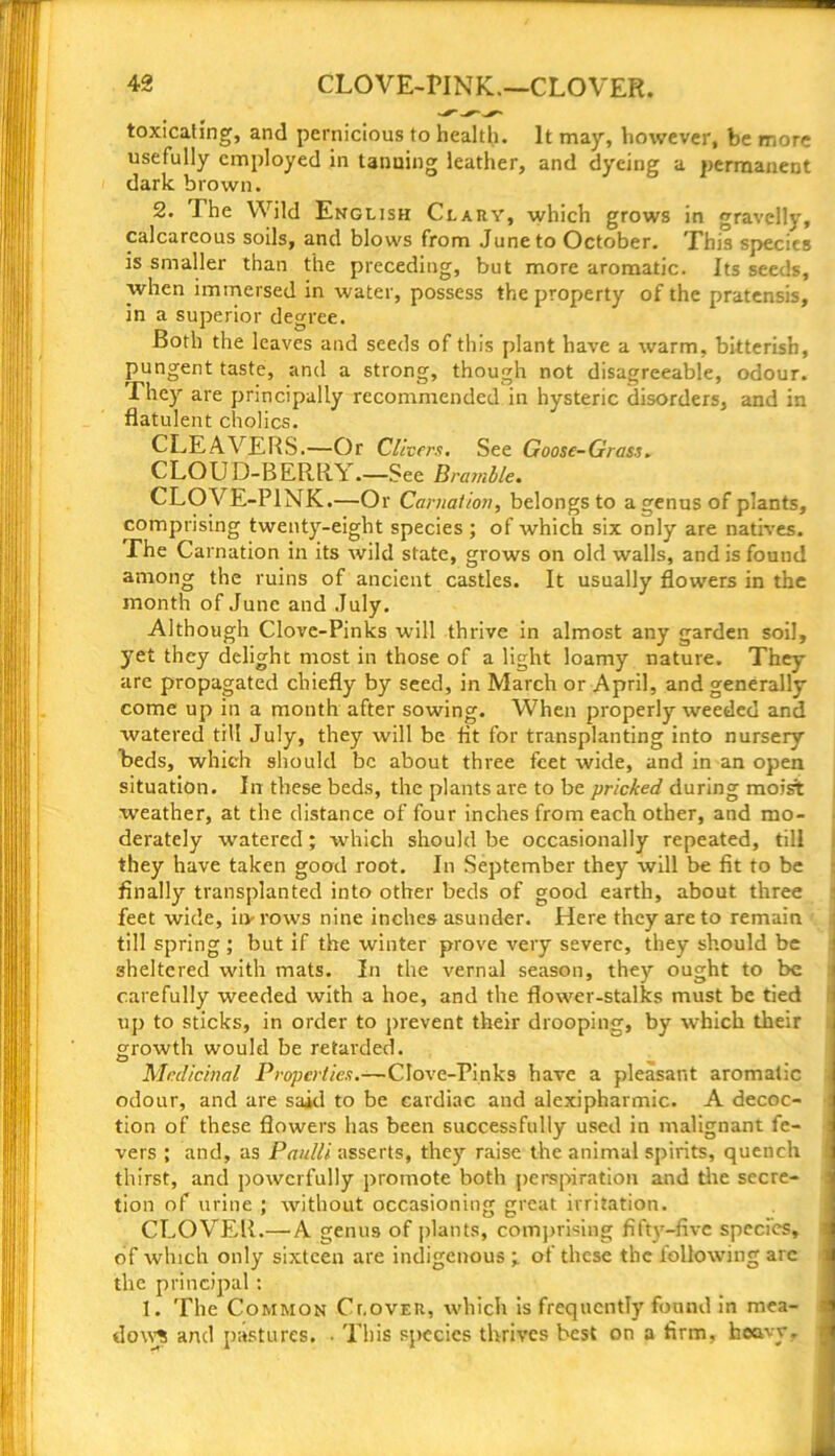 toxicating, and pernicious to health. It may, however, be more usefully employed in tanning leather, and dyeing a permanent dark brown. 2. The Wild English Clary, which grows in gravelly, calcareous soils, and blows from June to October. This species is smaller than the preceding, but more aromatic. Its seeds, when immersed in water, possess the property of the pratensis, in a superior degree. Both the leaves and seeds of this plant have a warm, bitterish, pungent taste, and a strong, though not disagreeable, odour. They are principally recommended in hysteric disorders, and in flatulent cholics. CLEAVERS.—Or Clivers. See Goose-Grass. CLOUD-BERRV .—See Bramble. CLOVE-PINK.—Or Carnation, belongs to a genus of plants, comprising twenty-eight species; of which six only are natives. The Carnation in its wild state, grows on old walls, and is found among the ruins of ancient castles. It usually flowers in the month of June and July. Although Clove-Pinks will thrive in almost any garden soil, yet they delight most in those of a light loamy nature. They are propagated chiefly by seed, in March or April, and generally come up in a month after sowing. When properly weeded and watered till July, they will be fit for transplanting into nursery beds, which should be about three feet wide, and in an open situation. In these beds, the plants are to be pricked during moist weather, at the distance of four inches from each other, and mo- derately watered ; which should be occasionally repeated, till they have taken good root. In September they will be fit to be finally transplanted into other beds of good earth, about three feet wide, itv rows nine inches asunder. Here they are to remain 1 till spring ; but if the winter prove very severe, they should be sheltered with mats. In the vernal season, they ought to be carefully weeded with a hoe, and the flower-stalks must be tied up to sticks, in order to prevent their drooping, by which their growth would be retarded. Medicinal Properties.—Clove-Pinks have a pleasant aromatic odour, and are said to be cardiac and alexipharmic. A decoc- tion of these flowers has been successfully used in malignant fe- vers ; and, as Paulli asserts, they raise the animal spirits, quench thirst, and powerfully promote both perspiration and the secre- tion of urine ; without occasioning great irritation. CLOVER.—A genus of plants, comprising fifty-five species, of which only sixteen are indigenous ; of these the following arc j the principal: 1. The Common Clover, which is frequently found in mea- -r dow^ and pastures. • This species thrives best on a firm, heavy.