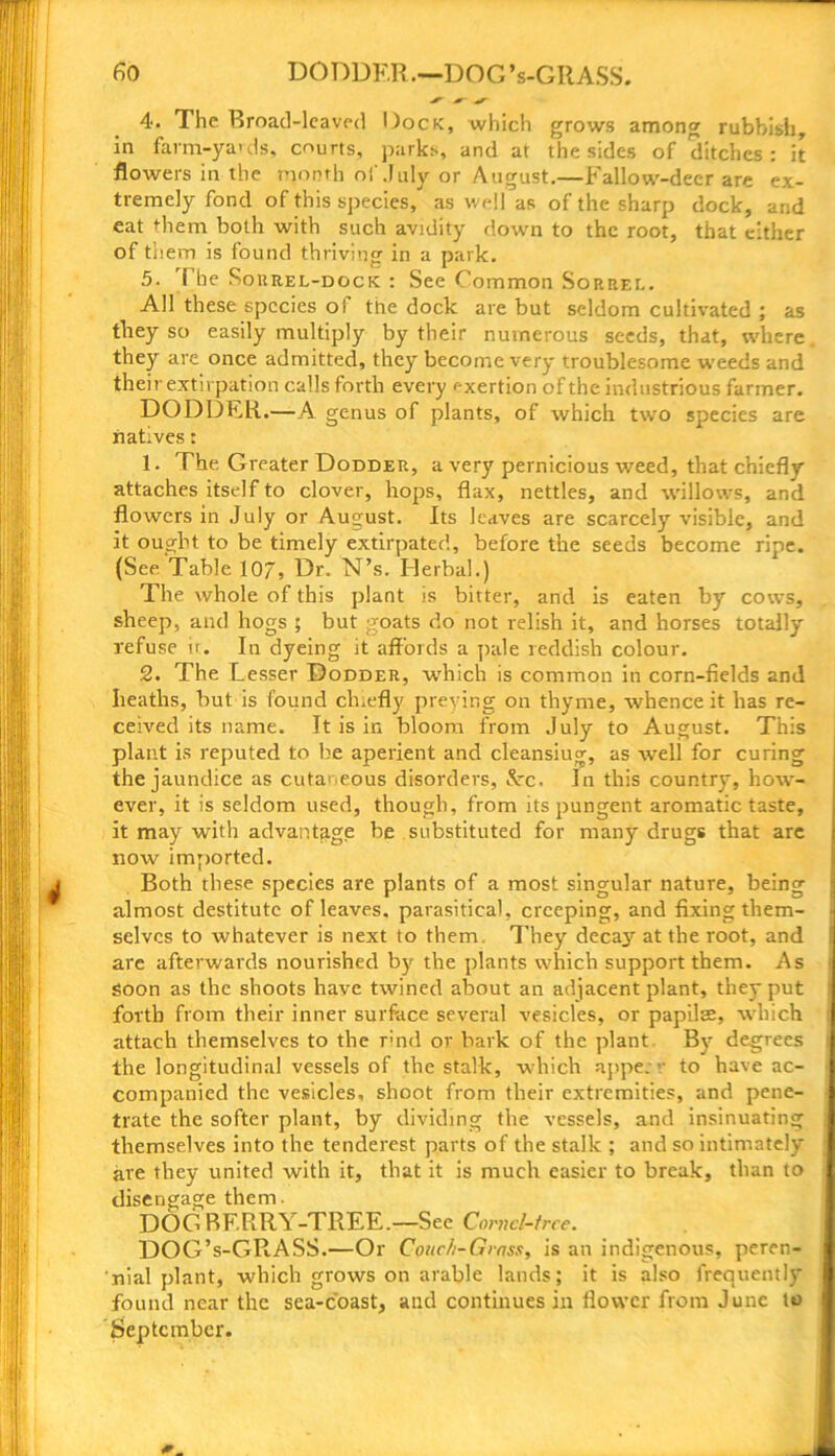 * *r 4. The Broad-leaved Dock, which grows among rubbish, in farm-yauls, courts, parks, and at the sides of ditches: it flowers in the month of July or August.—Fallow-deer are ex- tremely fond of this species, as well as of the sharp dock, and eat them both with such avidity down to the root, that either of them is found thriving in a park. 5. I he Sourel-dock : See Common Sorrel. All these species of the dock are but seldom cultivated ; as they so easily multiply by their numerous seeds, that, where they are once admitted, they become very troublesome weeds and their extirpation calls forth every exertion of the industrious farmer. DODDER.—A genus of plants, of which two species are natives: 1. The Greater Dodder, a very pernicious weed, that chiefly attaches itself to clover, hops, flax, nettles, and willows, and flowers in July or August. Its leaves are scarcely visible, and it ought to be timely extirpated, before the seeds become ripe. (See Table 107, Dr. N’s. Herbal.) The whole of this plant is bitter, and is eaten by cows, sheep, and hogs ; but goats do not relish it, and horses totally refuse it. In dyeing it affords a pale reddish colour. 2. The Lesser Dodder, which is common in corn-fields and heaths, but is found ch.efly preying on thyme, whence it has re- ceived its name. It is in bloom from July to August. This plant is reputed to be aperient and cleansiug, as well for curing the jaundice as cutai eous disorders, £rc. In this country, how- ever, it is seldom used, though, from its pungent aromatic taste, it may with advantage be substituted for many drugs that are now imported. Both these species are plants of a most singular nature, being almost destitute of leaves, parasitical, creeping, and fixing them- selves to whatever is next to them They deca}' at the root, and are afterwards nourished by the plants which support them. As Soon as the shoots have twined about an adjacent plant, they put forth from their inner surface several vesicles, or papilse, which attach themselves to the r>nd or bark of the plant By degrees the longitudinal vessels of the stalk, which nppe. v to have ac- companied the vesicles, shoot from their extremities, and pene- trate the softer plant, by dividing the vessels, and insinuating themselves into the tenderest parts of the stalk ; and so intimately are they united with it, that it is much easier to break, than to disengage them. DOG BERRY-TREE.—See Cornel-tree. DOG’s-GRASS.—Or Couch-Grass, is an indigenous, peren- nial plant, which grows on arable lands; it is also frequently found near the sea-coast, and continues in flower from June to September.