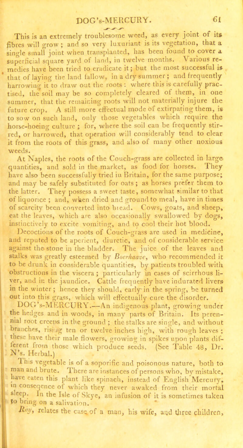 This is an extremely troublesome weed, as every joint of its fibres will grow ; and so very luxuriant is its vegetation, that a single small joint when transplanted, has been found to cover a superficial square yard ot land, in twelve months. Vaiious re- medies have been tried to eradicate it; but the most successful is * that of laying the land fallow, in a dry summer; and frequently harrowing it to draw out the roots : where this is carefully prac- tised, the soil may be so completely cleared of them, in one summer, that the remaining roots will not materially injure the future crop. A still more effectual mode of extirpating them, is to sow on such land, only those vegetables which require the horse-hoeing culture ; for, where the soil can be frequently stir- red, or harrowed, that operation will considerably tend to clear it from the roots of this grass, and also of many other noxious weeds. At Naples, the roots of the Couch-grass are collected in large, quantities, and sold in the market, as food for horses. They have also been successfully tried iu Britain, for the same purpose; and may be safely substituted for oats ; as horses prefer them to the latter. They possess a sweet taste, somewhat similar to that of liquorice ; and, when dried and ground to meal, have in times of scarcity been converted into biead. Cows, goats, and sheep, eat the leaves, which are also occasionally swallowed by dogs, instinctively to excite vomiting, and to cool their hot blood. Decoctions of the roots of Couch-m ass are used in medicine, O . * and reputed to be aperient, diuretic, and of considerable service against the-stone in the bladder. The juice of the leaves and stalks was greatly esteemed by Boerhaavc, who recommended it to be drunk in considerable quantities, by patients troubled with obstructions in the viscera ; particularly in cases of scirrhous li- ver, and in the jaundice. Cattle frequently have indurated livers in the winter; hence they should, early in the spring, be turned out into this grass, which will effectually cure the disorder. DOG’s-MERCURY.—An indigenous plant, growing under the hedges and in woods, in many parts of Britain. Its peren- nial root creeos in the ground ; the stalks are single, and without branches, rising ten or twelve inches high, with rough leaves ; these have their male flowers, growing in spikes upon plants dif- ferent from those which produce seeds. (See Table 48, Ur. N’s. Herbal.) This vegetable is of a soporific and poisonous nature, both to man and brute. There are instances of persons who, by mistake, | have eaten this plant like spinach, instead of English Mercury, in c.onseqencc of which they never awaked from their mortal sleep. In the Isle of Skye, an infusion of it is sometimes taken to bring on a salivation. itgy, relates the cas^of a man, his wife, aijd three children.