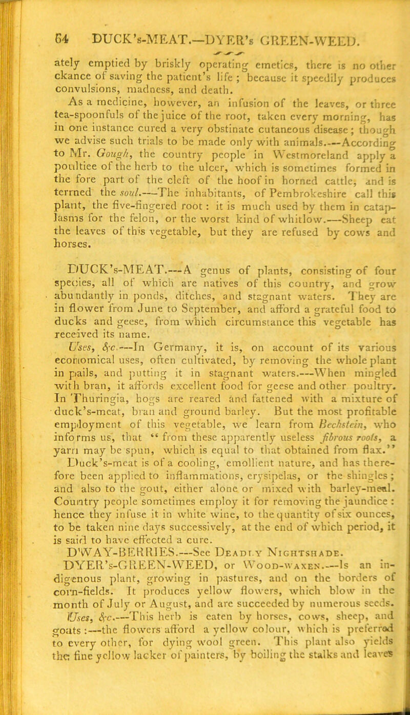 G4 DUCK’s-MEAT.—DYER’s GREEN-WEED. ately emptied by briskly operating emetics, there is no other ckance of saving the patient’s life; because it speedily produces convulsions, madness, and death. As a medicine, however, an infusion of the leaves, or three tea-spoonfuls of the juice of the root, taken every morning, has in one instance cured a very obstinate cutaneous disease; though we advise such trials to be made only with animals.—According to Mr. Gough, the country people in Westmoreland apply a poultiee of the herb to the ulcer, which is sometimes formed in the fore part of the cleft of the hoof in horned cattle, and is termed the soul.—The inhabitants, of Pembrokeshire call this plant, the five-fingered root: it is much used by them in catap- lasms for the felon, or the worst kind of whitlow.—Sheep eat the leaves ol th>s vegetable, but they are refused by cows and borses. DUCK’s-MEAT.—A genus of plants, consisting of four species, all of which are natives of this country, and grow abundantly in ponds, ditches, and stagnant waters. They are in flower from June to September, and afford a grateful food to ducks and geese, from which circumstance this vegetable has received its name. Uses, Ss'c.—In Germany, it is, on account of its various economical uses, often cultivated, by removing the whole plant in pails, and putting it in stagnant waters.—When mingled with bran, it affords excellent food for geese and other poultry. In Thuringia, hogs are reared and fattened with a mixture of duck’s-meat, bran and ground barley. But the most profitable employment of this vegetable, we learn from Beckstein, who informs us, that “ from these apparently useless fibrous roots, a yarn may be spun, which is equal to that obtained from flax.” L>uck’s-meat is of a cooling, emollient nature, and has there- fore been applied to inflammations, erysipelas, or the shingles ; and also to the gout, either alone or mixed with barley-mewl. Country people sometimes employ it for removing the jaundice : hence they infuse it in white wine, to the quantity of six ounces, to be taken nine days successively, at the end of which period, it is said to have effected a cure. DWAY-BERR1ES.—See Deadly Nightshade. DYER’s-GREEN-WEED, or Wood-waxen Is an in- digenous plant, growing in pastures, and on the borders of corn-fields. It produces yellow flowers, which blow in the month of July or A ugust, and arc succeeded by numerous seeds. Uses, Sfc.—This herb is eaten by horses, cows, sheep, and goats :—the flowers afford a yellow colour, which is preferred to every other, for dying wool green. This plant also yields the: fine yellow lacker of painters, by boiling the stalks and leaves