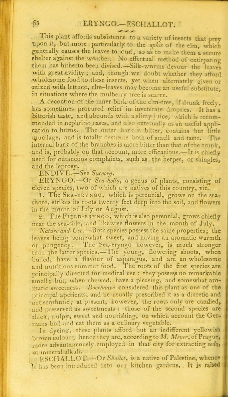 6s ERYNGO.—ESCH ALLOT. 1 his plant affords subsistence to a variety of insects that prey •upon it, but more particularly to the aphis of the elm, which generally causes the leaves to curl, so as to make them a secure shelter against the weather. No effectual method of extirpating them has hitherto been divised.—Silk-worms devour the leaves with great avidity ; and, though we doubt whether they afford wholesome food to these insects, yet when alternately given or mixed with lettuce, elm-leaves may become an useful substitute, in situations where the mulberry tree is scarce. A decoction of the inner baric of the elm-tree, if drunk freely, has sometimes procured relief in inveterate dropsies. It has a bitterish taste, ar.d abounds with a slimy juice, which is recom- mended in nephritic cases, and also externally as an useful appli- cation to burns. The outer bark is bitter, contains but little ipucilage, and is totally destitute both of smell and taste. The Internal bark of the branches is more bitter than that of the trunk, and is, probably on that account, more efficacious.—It is chiefly used for cutaneous complaints, such as the herpes, or shingles, and the leprosy. ENDIVE.—See Succory. ERYNGO.—Or Sea-holly, a genus of plants, consisting of eleven species, two of which are natives of this country, viz. 1. The Sea-eryngo, which is pereunial, grows on the sea- shore, strikes its roots twenty feet deep into the soil, and flowers in the month of July or August. 2. The Field-erynqo, which is also perennial, grows chiefly near the sea-side, and likewise flowers in the month of July. Nature and Use.—Both species possess the same properties; the leaves being somewhat sweet, and having an aromatic warmth or pungency. The Sea-eryngo however,- is much stronger than the latter species.—The young, flowering shoots, when boiled, have a flavour of asparagus, and are an wholesome and nutritious summer food. The roots of the first species are principally directed for medical use : they possess no remarkable smell ; but, when chewed, have a pleasing, and somewhat aro- matic sweetness. Boerhoavc considered this plant as one of the principal aperients, and he usually prescribed it as a diuretic and antiscorbutic ; at present, however, the roots only are candied, and preserved as sweetmeats : those of the second species are thick, pulpy, sweet and nourishing, on which account the Ger- mans boil and eat them as a culinary vegetable. In dyeing, these plants afford but an indifferent yellowish brown colour'; hence they are, accordingto M. Meyer, of Prague, more advantageously employed in that city for extracting sodq, ot mineral alkali. ESCH ALLOT-—Or Shallot, is a native of Palestine, whence It has been introduced into our kitchen gardens. It is raised i