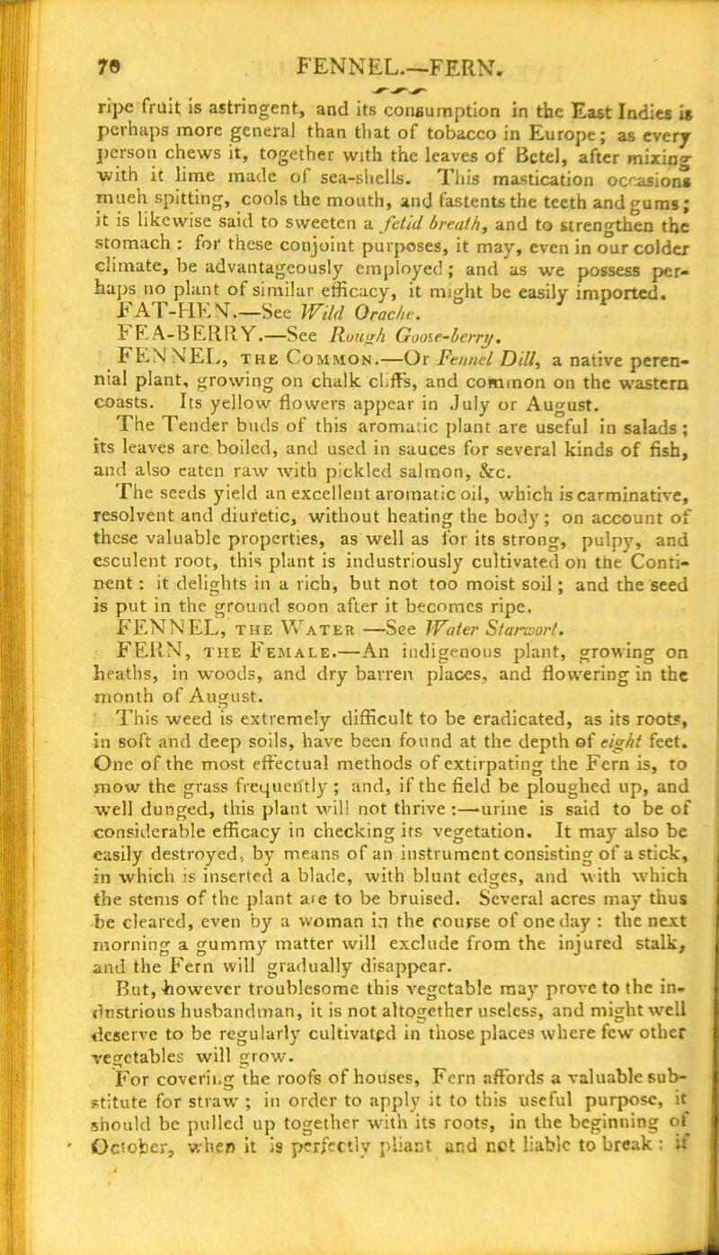 7© FENNEL.—FERN. ripe fruit is astringent, and its consumption in the East Indies is perhaps more genera] than that of tobacco in Europe; as every person chews it, together with the leaves of Betel, after mixing ■with it lime made of sea-shells. This mastication occasions rnueh spitting, cools the mouth, and fastents the teeth and gums; it is likewise said to sweeten a fetid breath, and to strengthen the stomach : for these conjoint purposes, it may, even in our colder climate, be advantageously employed; and as we possess per- haps no plant of similar efficacy, it might be easily imported. FAT-HEN.—See Wild Orache. F P. A-BERIIY.—See Rough Guoie-berri/. FENNEL, the Common.—Or Fennel Dill, a native peren- nial plant, growing on chalk cl.ffs, and common on the wastern coasts. Its yellow flowers appear in July or August. The Tender buds of this aromatic plant are useful in salads; its leaves are boiled, and used in sauces for several kinds of fish, and also eaten raw with pickled salmon, &c. The seeds yield an excellent aromatic oil, which is carminative, resolvent and diuretic, without heating the body; on account of these valuable properties, as well as for its strong, pulpy, and esculent root, this plant is industriously cultivated on the Conti- nent : it delights in a rich, but not too moist soil; and the seed is put in the ground soon after it becomes ripe. FENNEL, the Water —See Water Staraort. FERN, the Female.—An indigenous plant, growing on heaths, in woods, and dry barren places, and flowering in the month of August. This weed is extremely difficult to be eradicated, as its roots, in soft and deep soils, have been found at the depth of eight feet. One of the most effectual methods of extirpating the Fern is, to mow the grass frequently ; and, if the field be ploughed up, and well dunged, this plant will not thrive:—urine is said to be of considerable efficacy in checking its vegetation. It may also be easily destroyed., by means of an instrument consisting of a stick, in which is inserted a blade, with blunt edges, and with which the stems of the plant aie to be bruised. Several acres may thus be cleared, even by a woman in the course of one day : the next morning a gummy matter will exclude from the injured stalk, and the Fern will gradually disappear. But, ■however troublesome this vegetable may prove to the in- dustrious husbandman, it is not altogether useless, and might well deserve to be regularly cultivated in those places where few other vegetables will grow'. For covering the roofs of houses, Fern affords a valuable sub- stitute for straw ; in order to apply it to this useful purpose, it should be pulled up together with its roots, in the beginning of October, when it is perfectly pliant and r.ct liable to break: it