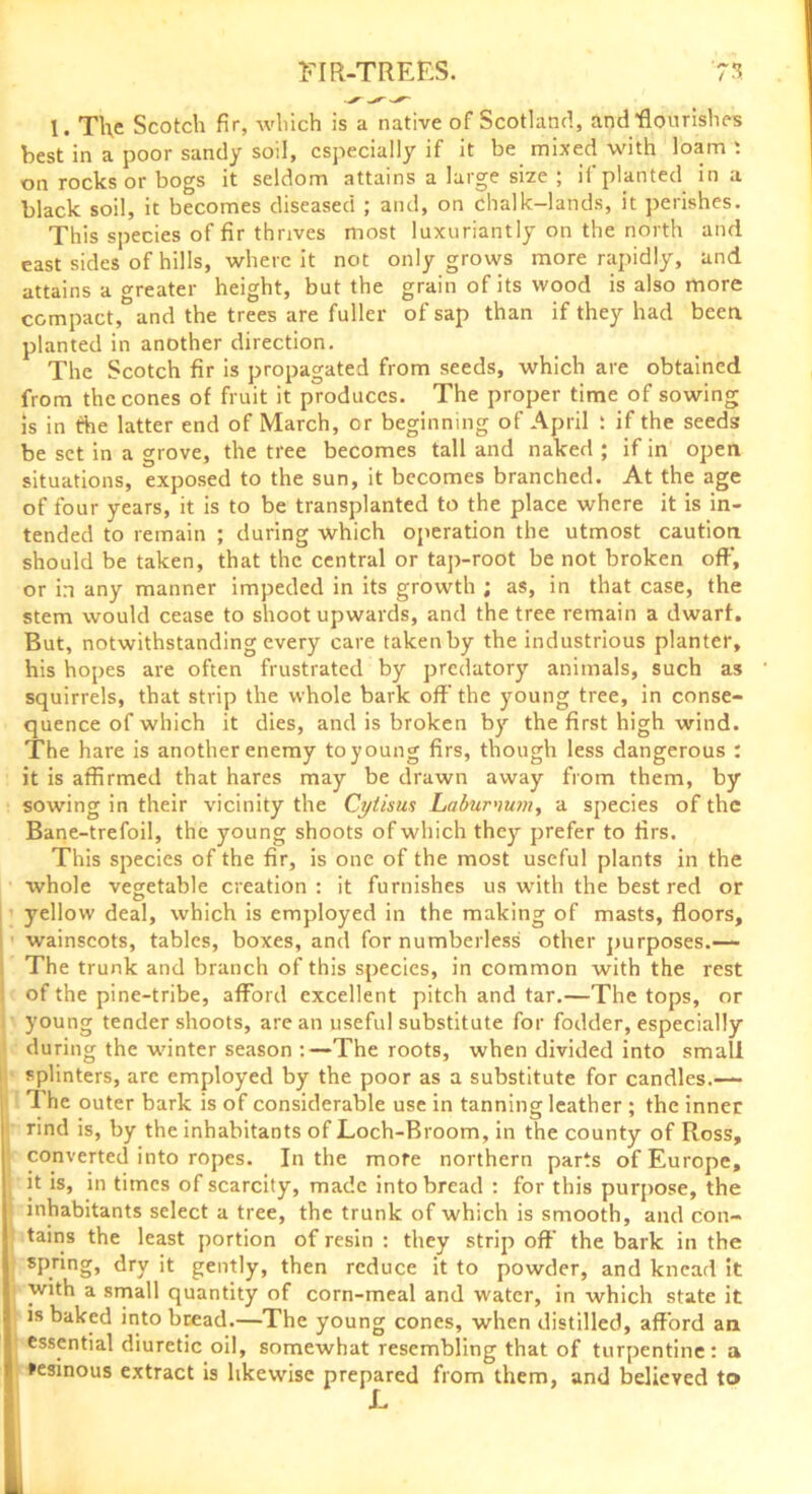 1. The Scotch fir, which is a native of Scotland, and flourishes best in a poor sandy soil, especially if it be mixed with loam : on rocks or bogs it seldom attains a large size ; it planted in a black soil, it becomes diseased ; and, on chalk-lands, it perishes. This species of fir thrives most luxuriantly on the north and east sides of hills, where it not only grows more rapidly, and attains a greater height, but the grain of its wood is also more compact, and the trees are fuller of sap than if they had been planted in another direction. The Scotch fir is propagated from seeds, which are obtained from the cones of fruit it produces. The proper time of sowing is in the latter end of March, or beginning of April : if the seeds be set in a grove, the tree becomes tall and naked ; if in open situations, exposed to the sun, it becomes branched. At the age of four years, it is to be transplanted to the place where it is in- tended to remain ; during which operation the utmost caution should be taken, that the central or tap-root be not broken off, or in any manner impeded in its growth ; as, in that case, the stem would cease to shoot upwards, and the tree remain a dwarf. But, notwithstanding every care taken by the industrious planter, his hopes are often frustrated by predatory animals, such as squirrels, that strip the whole bark off'the young tree, in conse- quence of which it dies, and is broken by the first high wind. The hare is another enemy to young firs, though less dangerous : it is affirmed that hares may be drawn away from them, by sowing in their vicinity the Cytisus Laburnum, a species of the Bane-trefoil, the young shoots of which they prefer to firs. This species of the fir, is one of the most useful plants in the whole vegetable creation : it furnishes us with the best red or D t yellow deal, which is employed in the making of masts, floors, wainscots, tables, boxes, and for numberless other purposes.—- The trunk and branch of this species, in common with the rest of the pine-tribe, afford excellent pitch and tar.—The tops, or young tender shoots, are an useful substitute for fodder, especially during the winter season :—The roots, when divided into small splinters, arc employed by the poor as a substitute for candles.— 1 he outer bark is of considerable use in tanning leather ; the inner rind is, by the inhabitants of Loch-Broom, in the county of Ross, converted into ropes. In the more northern parts of Europe, it is, in times of scarcity, made into bread : for this purpose, the inhabitants select a tree, the trunk of which is smooth, and con- tains the least portion of resin : they strip off the bark in the spring, dry it gently, then reduce it to powder, and knead it with a small quantity of corn-meal and water, in which state it is baked into bread.—The young cones, when distilled, afford an essential diuretic oil, somewhat resembling that of turpentine: a resinous extract is likewise prepared from them, and believed to