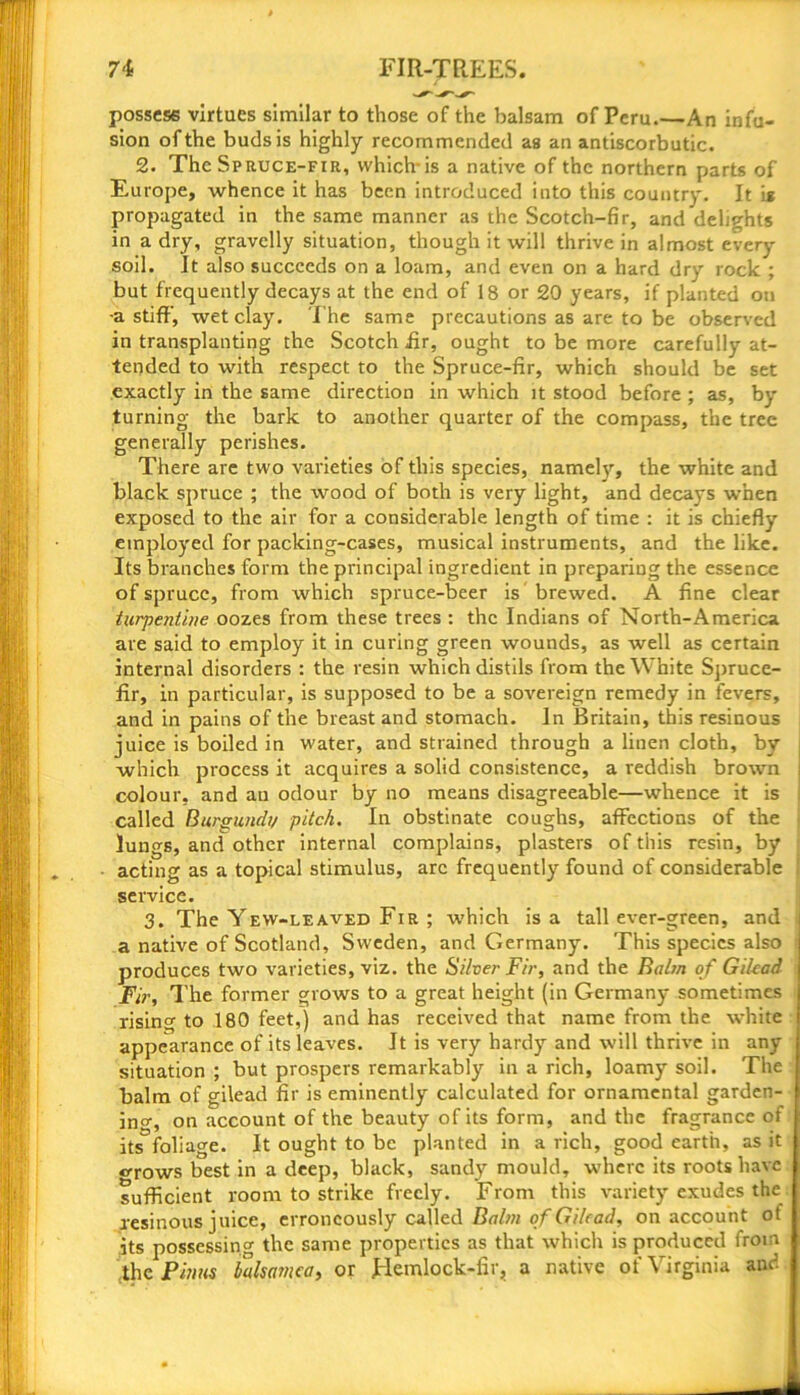 possess virtues similar to those of the balsam of Peru.—An infu- sion of the buds is highly recommended as an antiscorbutic. 2. The Spruce-fir, which-is a native of the northern parts of Europe, whence it has been introduced into this country. It is propagated in the same manner as the Scotch-fir, and delights in a dry, gravelly situation, though it will thrive in almost every soil. It also succeeds on a loam, and even on a hard dry rock ; but frequently decays at the end of 18 or 20 years, if planted on -a stiff, wet clay. The same precautions as are to be observed in transplanting the Scotch fir, ought to be more carefully at- tended to with respect to the Spruce-fir, which should be set exactly in the same direction in which it stood before ; as, by turning the bark to another quarter of the compass, the tree generally perishes. There are two varieties of this species, namely, the white and black spruce ; the wood of both is very light, and decays when exposed to the air for a considerable length of time : it is chiefly employed for packing-cases, musical instruments, and the like. Its branches form the principal ingredient in preparing the essence of spruce, from which spruce-beer is brewed. A fine clear turpentine oozes from these trees : the Indians of North-America are said to employ it in curing green wounds, as well as certain internal disorders : the resin which distils from the White Spruce- fir, in particular, is supposed to be a sovereign remedy in fevers, and in pains of the breast and stomach. In Britain, this resinous juice is boiled in water, and strained through a linen cloth, by which process it acquires a solid consistence, a reddish brown colour, and an odour by no means disagreeable—whence it is called Burgundi/ pitch. In obstinate coughs, affections of the lungs, and other internal complains, plasters of this resin, by acting as a topical stimulus, arc frequently found of considerable service. 3. The Yew-leaved Fir ; which is a tall ever-green, and a native of Scotland, Sweden, and Germany. This species also produces two varieties, viz. the Silver Fir, and the Balm of Gilead Fir, The former grows to a great height (in Germany sometimes rising to 180 feet,) and has received that name from the white appearance of its leaves. It is very hardy and will thrive in any situation ; but prospers remarkably in a rich, loamy soil. The balm of gilead fir is eminently calculated for ornamental garden- ing, on account of the beauty of its form, and the fragrance of its foliage. It ought to be planted in a rich, good earth, as it crows best in a deep, black, sandy mould, where its roots have sufficient room to strike freely. From this variety exudes the resinous juice, erroneously called Balm of Gilead, on account ot its possessing the same properties as that which is produced from the Pinus balsam ca, or Hemlock-fir, a native of Virginia and