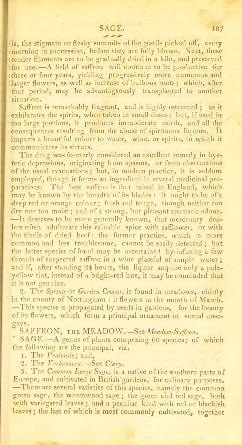is, the stigmata or fleshy summits of the pistils picked off', every i morning in succession, before they are fully blown. Next, these tender filaments are to be gradually dried in a kiln, and preserved for use.—A field of saffron will continue to be productive for !three or four years, yielding progressively more numerous and larger flowers, as well as increase of bulbous roots; vvh'ch, after that period, may be advantageously transplanted to another situation. Saffion is remarkably fragrant, and is highly esteemed ; as it exhilarates the spirits, when taken in small doses : but, if used in too large portions, it produces immoderate mirth, and all the consequences resulting from the abuse of spirituous liquors. Ft imparts a beautiful colour to water, wine, or spirits, to which it communicates its virtues. The drug was formerly considered an excellent remedy in hys- teric depressions, originating from spasms, or from obstructions of the usual evacuations ; but, in modern practice, it is seldom employed, though it forms an ingredient in several medicinal pre- parations: The best saffron is that raised Ln England, which may be known by the breadth of its blades : it ought to be of a deep red or orange colour; fresh and tough, though neither too dry nor too moist; and of a strong, but pleasant aromatic odour. —It deserves to be more generally known, that mercenary dea- lers often adulterate this valuable spice with safflower, or with the fibrils of dried beef: the former practice, which is more common and less troublesome, cannot be easily detected ; but the tatter species of fraud may be ascertained by1 infusing a few threads of suspected saffron in a wine glassful of simple water; and if, after standing 24 hours, the liquor acquire only a pale- yellow tint, instead of a bright-red hue, it may be concluded that it is not genuine. 2. The Spring or Garden Crocus, is found in meadows, chiefly in the county of Nottingham : it flowers in the month of March. —This species is propagated by seeds in gardens, for the beauty of its flowers, which form a principal ornament in vernal nose* gays- ; SAFFRON, the MEADOW.—See Meadow-Saffron. SAGE.—A genus of plants comprising 60 species; of which the following are the principal, viz. 1. The Pratensh; and, 2. The Vcrbenacca.—See Clary. 3. The Common Lerge Sase, is a native of the southern parts of Europe, and cultivated in British gardens,' for culinary purposes. —There are several vatieties of this species, namely the common green sage, the wormwood sage ; the green and red sage, both with variegated leaves ; and a peculiar kind with red or blackish leaves; the last of which is most commonly cultivated, together