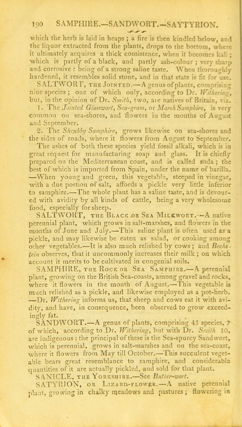 which the herb is laid in heaps ; a fire is then kindled below, and the liquor extracted from the plants, drops to the bottom, where it ultimately acquires a thick consistence, when it becomes kali ; which is partly of a black, and partly ash-colour ; very sharp and corrosive : being of a strong saline taste. When thoroughly hardened, it resembles solid stone, and in that state is fit for use. S ALTWOR F, the Jointed.—Agcnus of plants, comprising nine species ; one of which only, according to Dr. Withering, but, in the opinion of Dr. Smith, two, aie natives of Britain, viz. 1. The Jointed Glasswort, Sea-grass, or Marsh Samphire, is very common on sea-shores, and flowers in the months of August and September. 2. The Shrjihhy Samphire, grows likewise on sea-shores and the sides of roads, where it flowers from August to September. The ashes of both these species yield fossil alkali, which is in great request for manufacturing soap and glass. It is chiefly prepared on the Mediterranean coast, and is called soda ; the best of which is imported from Spain, under the name of barilla. —When young and green, this vegetable, steeped in vinegar, with a due portion of salt, affords a pickle very little inferior to samphire.—The whole plant has a saline taste, and is devour- ed with avidity by all kinds of cattle, being a very wholesome food, especially for sheep. SALTWORT, the Black .or Sea Milkwort.—A native perennial plant, which grows in salt-marshes, and flowers in the months of June and July.—This saline plant is often used as a pickle, and may likewise be eaten as salad, or cooking among other vegetables.—It is also much relished by cows; and Bechs- tein observes, that it uncommonly increases their milk; on which account it merits to be cultivated in congenial soils. SAMPHIRE, the Rock or Sea Samphire.—A perennial plant, growing on the British Sea-coasts, among gravel and rocks, where it flowers in the month of August.—This vegetable is much relished as a pickle, and likewise employed as a pot-herb. —Dr. Withering informs us, that sheep and cows eat it with avi- dity, and have, in consequence, been observed to grow exceed- ingly fat. SANDWORT.—A genus of plants, comprising 43 species, ? of which, according to Dr. Withering, but with Dr. Smith 10, are indigenous : the principal of these is the Sea-spurcy Sandwort, which is perennial, grows in salt-marshes and on the sea-coast, where it flowers from May till October.—This succulent veget- able bears great resemblance to samphire, and considerable quantities of it are actually pickled, and sold for that plant. SAN1CLE, the Yorkshire.—See Butler-wort. SATYRION, or Lizard-flower.—A native peVennial plant, growing in chalky njeadows and pastures ; flowering in