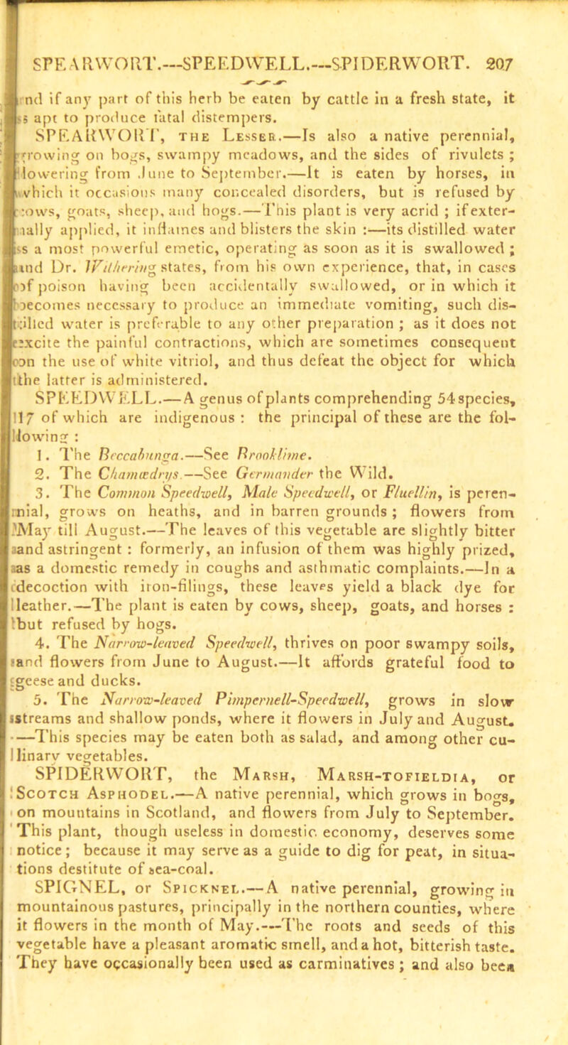 SPEARWORT.—SPEEDWELL.—SPIDERWORT. 2Q7 nd if any part of this herb be eaten by cattle in a fresh state, it 5 apt to produce fatal distempers. SPEARWORT, the Lesser.—Is also a native perennial, growing on bogs, swampy meadows, and the sides of rivulets ; lowering from June to September.—It is eaten by horses, in nvhich it occasions many concealed disorders, but is refused by :ows, goats, sheep, and hogs.— This plant is very acrid ; if exter- nally applied, it inflames and blisters the skin :■—its distilled water s a most powerful emetic, operating as soon as it is swallowed ; uul Dr. Witherivg states, from his own experience, that, in cases >f poison having been accidentally swallowed, or in which it necomes necessary to produce an immediate vomiting, such dis- tilled water is preferable to any other preparation ; as it does not txcite the painful contractions, which are sometimes consequent con the use of white vitriol, and thus defeat the object for which tithe latter is administered. SPEEDWELL.—A genus of plants comprehending 54 species, 117 of which are indigenous : the principal of these are the fol- io win j ; 1. The Bcccahunga.—See Broohlhne. 2. The Chamiedrt/s.—See Germander the Wild. 3. The Common Speedwell, Male Speedwell, or Fluellin, is peren- nnial, grows on heaths, and in barren grounds ; flowers from 'May till August.—The leaves of this vegetable are slightly bitter aand astringent : formerly, an infusion of them was highly prized, sas a domestic remedy in coughs and asthmatic complaints.—In a idecoction with iron-tilings, these leaves yield a black dye for leather.—The plant is eaten by cows, sheep, goats, and horses : but refused by hogs. 4. The Narrow-leaved Speedwell, thrives on poor swampy soils, sand flowers from June to August.—It affords grateful food to geese and ducks. 5. The Narrow-leaved Pimpernell-Speedwell, grows in slow sstreams and shallow ponds, where it flowers in July and August. •This species may be eaten both as salad, and among other cu- linary vegetables. SPIDERWORT, the Marsh, Marsh-tofieldia, or Scotch Asphodel.—A native perennial, which grows in bogs, on mountains in Scotland, and flowers from July to September. This plant, though useless in domestic economy, deserves some notice; because it may serve as a guide to dig for peat, in situa- tions destitute of sea-coal. SPIGNEL, or Spicknel.—A native perennial, growing in mountainous pastures, principally in the northern counties, where it flowers in the month of May.—The roots and seeds of this vegetable have a pleasant aromatic smell, and a hot, bitterish taste. They have occasionally been used as carminatives ; and also bee»
