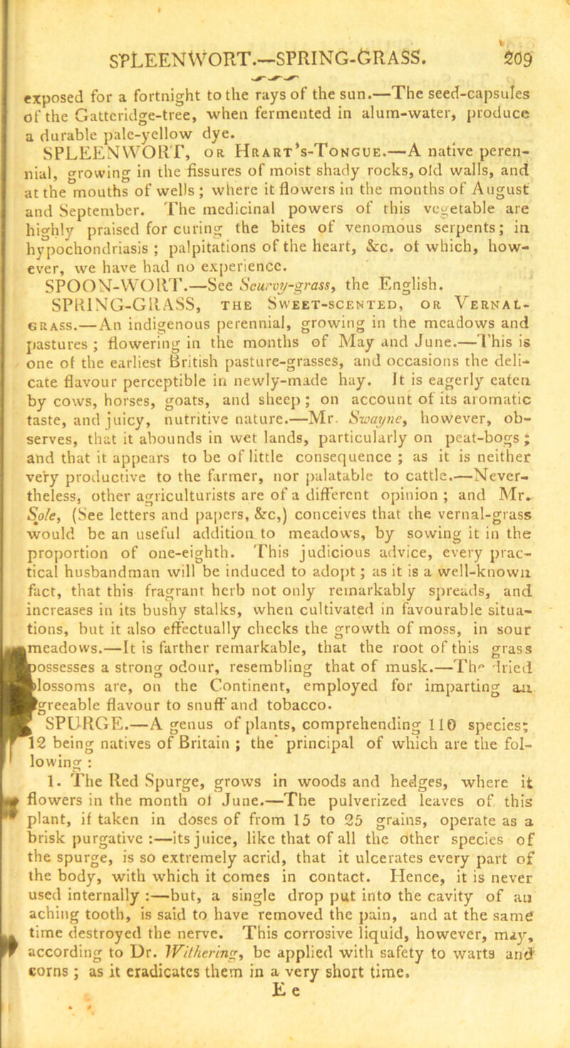 SPLEENWORT.—SPRING-GRASS. 509 exposed for a fortnight to the rays of the sun.—The seed-capsules of the Gattcridge-tree, when fermented in alum-water, produce a durable pale-yellow dye. SPLEENWORT, OR Hrart’s-Tongue.—A native peren- nial, growing in the fissures of moist shady rocks, old walls, and at the mouths of wells ; where it flowers in the months of August and September. The medicinal powers of this vegetable are highly praised for curing the bites of venomous serpents; in hypochondriasis; palpitations of the heart, &c. of which, how- ever, we have had no experience. SPOON-WORT.—See Scurvy-grass, the English. SPRING-GRASS, the Sweet-scented, or Vernal- grass.—An indigenous perennial, growing in the meadows and pastures; flowering in the months of May and June.—This is one of the earliest British pasture-grasses, and occasions the deli- cate flavour perceptible in newly-made hay. Jt is eagerly eaten by cows, horses, goats, and sheep; on account of its aromatic taste, and juicy, nutritive nature.—Mr. Swayne, however, ob- serves, that it abounds in wet lands, particularly on peat-bogs; and that it appears to be of little consequence ; as it is neither very productive to the farmer, nor palatable to cattle.—Never- theless, other agriculturists are of a different opinion ; and Mr. Sole, (See letters and papers, &c,) conceives that the vernal-grass would be an useful addition to meadows, by sowing it in the proportion of one-eighth. 'I'his judicious advice, every prac- tical husbandman will be induced to adopt; as it is a well-known fact, that this fragrant herb not only remarkably spreads, and increases in its bushy stalks, when cultivated in favourable situa- tions, but it also effectually checks the growth of moss, in sour meadows.—It is farther remarkable, that the root of this grass ossesses a strong odour, resembling that of musk.—Th'* dried lossoms are, on the Continent, employed for imparting an. greeable flavour to snuff’and tobacco. SPURGE.—A genus of plants, comprehending 110 species; 12 being natives of Britain ; the principal of which are the fol- lowing : 1. The Red Spurge, grows in woods and hedges, where it flowers in the month ol June.—The pulverized leaves of this plant, if taken in doses of from 15 to 25 grains, operate as a brisk purgative :—its juice, like that of all the other species of the spurge, is so extremely acrid, that it ulcerates every part of the body, with which it comes in contact. Hence, it is never used internally :—but, a single drop put into the cavity of an aching tooth, is said to have removed the pain, and at the same time destroyed the nerve. This corrosive liquid, however, may, according to Dr. Withering, be applied with safety to warts and corns ; as it eradicates them in a very short time, Ee