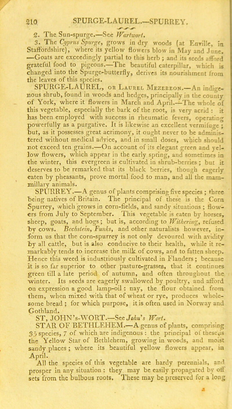 2. The Sun-spurge.—See Wartworl. 3. The Cyprus Spurge, grows in dry woods (at Enrille, in Staffordshire), where its yellow flowers blow in May and June. —Goats are exceedingly partial to this herb ; and its seeds afford grateful food to pigeons.—The beautiful caterpillar, which is changed into the Spurge-butterfly, derives its nourishment from the leaves of this species. SPURGE-LAUREL, or Laurel Mezereon.—An indige- nous shrub, found in woods and hedges, principally in the county of York, where it flowers in March and April.—The whole of this vegetable, especially the bark of the root, is very acrid : it has been employed with success in rheumatic fevers, operating powerfully as a purgative. It is likewise an excellent vermifuge ; but, as it possesses great acrimony, it ought never to be adminis- tered without medical adyice, and in small doses, which should not exceed ten grains.—On account of its elegant green and yel- low flowers, which appear in the early spring, and sometimes in the winter, this evergreen is cultivated in shrub-berries ; but it deserves to be remarked that its black berries, though eagerly eaten by pheasants, prove mortal food to man, and all the mam- millary animals. SPURREY.—A genus of plants comprising five species ; three being natives of Britain. The principal of these is the Corn Spurrey, which grows in corn-fields, and sandy situations ; flow- ers from July to September. This vegetable is eaten by horses, sheep, goats, and hogs; but is, according to Withering, refused by cows. Bechstein, Funks, and other naturalists however, in- form us that the. corn-spurrey is not only devoured with avidity by all cattle, but is also conducive to their health, while it re- markably tends to increase the milk of cows, and to fatten sheep. Hence this weed is industriously cultivated in Flanders; because it is so far superior to other pasture-grasses, that it continues green till a late period of autumn, and often throughout the winter. Its seeds are eagerly swallowed by poultry, and afford on expression a good lamp-oil : nay, the flour obtained from them, when mixed with that of wheat or rye, produces whole- some bread ; for which purpose, it is often used in Norway and Gothland. ST, JOFIN’s-WORT.—See John's Wort. STAR OF BETHLEHEM.—A genus of plants, comprising 3 > species, 7 of which are indigenous: the principal of these <is the Yellow Star of Bethlehem, growing in woods, and moist sandy places; where its beautiful yellow flowers appear, in April. All the species of this vegetable are hardy perennials, and prosper in any situation : they may be easily propagated by off sets from the bulbous roots. These may be preserved for a long