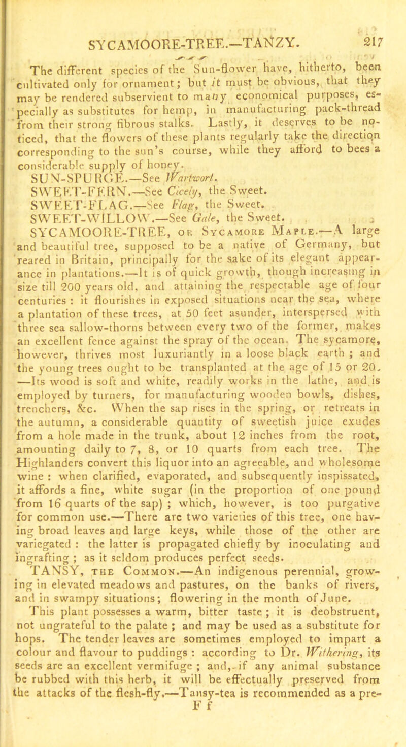 -*r _ O > The different species of the Sun-flower have, hitheito, been cultivated only for ornament; but it must be obvious, that they may be rendered subservient to many economical purposes, es- pecially as substitutes for hemp, in manufacturing pack-thread from their strong fibrous stalks. Lastly, it deserves to be no- ticed, that the flowers of these plants regularly take the direction corresponding to the sun’s course, while they afford t° bees a considerable supply of honey. SUM-SPURGE.—See Wart-wort. SWEET-FERN.— See Cicely, the Sweet. SWEET-FLAG.—See Flag, the Sweet. SWEET-WILLOW.—See'Gale, the Sweet. a SYCAMOORE-TREE, or Sycamore Maple.—A large and beautiful tree, supposed to be a native of Germany, but reared in Britain, principally tor the sake of its elegant appear- ance in plantations.—It is of quick growth, though increasing in size till 200 years old, and attaining the respectable age of four centuries : it flourishes in exposed situations near the sea, where a plantation of these trees, at 50 feet asunder, interspersed with three sea sallow-thorns between every two of the former, makes an excellent fence against the spray of the ocean. The sycamore, however, thrives most luxuriantly in a loose black earth ; and the young trees ought to be transplanted at the age of 15 or 20- —Its wood is soft and white, readily works in the lathe, and is employed by turners, for manufacturing wooden bowls, dishes, trenchers, &c. When the sap rises in the spring, or retreats in the autumn, a considerable quantity of sweetish juice exudes from a hole made in the trunk, about 12 inches from the root, amounting daily to 7» 8, or 10 quarts from each tree. The Highlanders convert this liquor into an agieeable, and wholesome wine : when clarified, evaporated, and subsequently inspissated, it affords a fine, white sugar (in the proportion of one pound from 16 quarts of the sap) ; which, however, is too purgative for common use.—There are two varieties of this tree, one hav- ing broad leaves and large keys, while those of the other are variegated : the latter is propagated chiefly by inoculating and ingrafting ; as it seldom produces perfect seeds. TAMSY, the Common.—An indigenous perennial, grow- ing in elevated meadows and pastures, on the banks of rivers, and in swampy situations; flowering in the month of June. This plant possesses a warm, bitter taste ; it is deobstruent, not ungrateful to the palate ; and may be used as a substitute for hops. The tender leaves are sometimes employed to impart a colour and flavour to puddings : according to Dr. Withering, its seeds are an excellent vermifuge ; and,, if any animal substance be rubbed with this herb, it will be effectually preserved from the attacks of the flesh-fly.—Tansy-tea is recommended as a pre- F f