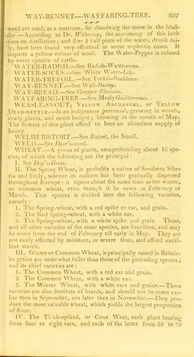 * weed are used, as a nostrum, for dissolving the stone in the blad- der.—According to Dr. Withering, the accrimony of this herb •rises on distillation ; and 2 or 3 half pints of the water, drunk dai- ]v, have been found very effectual in some nephritic cases. It imparts a yellow colour of wool. The Water-Pepper is refused by every species of cattle. W A T E R- R A DIS H .—See Rad i sh-Watcr-erm. WATER-SOCKS.—See White Water -Lily. WATER-TREFOIL.—See Trefoil-Buckbean. W A Y-BENNF.T.—See Wall-Harley. WAY-BREAD.—See Greater Plantain. W A Y F A RING-TREE. —Sec Mealy Guelder-rose. WEASLE-SNOUT} Yellow Archangel, or Yellow Dead-nettle.—Is an indigenous perennial, growing in woods, shady places, and moist hedges ; blowing in the month of May. The'flowers of this plant afford to bees an abundant supply of honey WELSH BISTORT.—See Bistort, the Small. WELD.—See Di/er’s-weed. WHEAT.— A genus of plants, comprehending about 16 spe- cies, of which the following are the principal : I. See Dog's-Grass. II. The Spring Wheat, is probably a native of Southern Sibe- ria and Sicily, whence its culture has been gradually dispersed throughout Europe : it ripens about the same time as the winter, or common wheat, even though it be sown in February or March. This species is divided into the following varieties, namely : 1. The Spring-wheat, with a red spike or ear, and grain. 2. The Red Spring-wheat, with a white ear. 3. The Spring—wheat, with a white spike and grain These, and all other varieties of the same species, are beardless, and may be sown from the end of February till early in May. They are not easily affected by moisture, or severe frost, and afford excel- lent starch. III. Winter or Common Wheat, is principally raised in Britain: its grains arc somewhat fuller than those of the preceding species ; and its chief varieties are : 1. The Common Wheat, with a red ear and grain. 2. T he Common Wheat, with a wrhite ear. 3. The Winter Wheat, with white ears and grains.—These varieties are also destitute of beards, and should not be sown ear- lier then in September, nor later then in November.— They pro- duce the most valuable wheat, which yields the largest proportion of flour. IV. The Tl.’ck-spiked, or Cone Weat, each plant bearing from four to eight ears, and each of the latter from 30 to 70