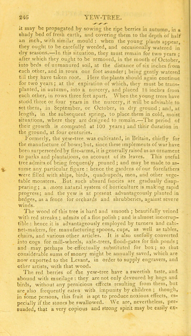 24-6 YEW-TREE. it may be propagated by sowing the ripe berries in autumn, in a shady bed of fresh earth, and covering them to the depth of half an inch, with similar mould: when the young plants appear, they ought to be carefully weeded, and occasionally watered in dry seasons.—In this situation, they must remain for two years ; after which they ought to be removed, in the month of October, into beds of unmanured soil, at the distance of six inches fi orn each other, and in rows one foot asunder; being gently watered till they have taken roof. Here the plants should again continue for two years; at the expiration of which, they must be trans- planted, in autumn, into a nurcery, and placed 18 inches from each other, in rows three feet apart. When the young trees have stood three or four years in the nurcery, it will be advisable to set them, in September, or October, in dry ground ; and, at length, in the subsequent spring, to place them in cold, moist situations, where they are designed to remain.—The period of their growth is computed at 100 years; and their duration in the ground, at four centuries. Formerly, the yew-tree was cultivated, in Britain, chiefly for the manufacture of bows; but, since these implements of war have been surperseeded by fire-arms, it is generally raised as an oi nament to parks and plantations, on account of its leaves. This useful tree admi's of being frequently pruned ; and may be made to as- sume any particular figure : hence the gardens of our forefathers were filled with ships, birds, quadiupeds, men, and other vege- table monsters. But such absurd fancies are gradually' disap- pearing; a more natural system of horticulture is making rapid progress; and the yew is at present advantageously planted in hedges, as a fence for orchards and shrubberies, against severe winds. The wood of this tree is hard and smooth ; beautifully veined with red streaks ; admits of a fine polish ; and is almost incorrup- tible : hence it is advantageously employed by' turners and cabi- net-makers, for manufacturing spoons, cups, as well as tables, chairs, and various other articles. It is also usefully' converted into cogs for mill-wheels, axle-trees, flood-gates for fish ponds ; and may perhaps be effectually' substituted for box; so that considerable sums of money might be annually saved, which are now exported to the Levant, in order to supply engravers, and other artists, with that wood. The red berries of the yew-tree have a sweetish taste, and abound with mucilage : they' are not only devoured by hogs ana birds, without any pernicious effects resulting from them, but are also frequently eaten with impunity by children ; though, in some persons, this fruit is apt to produce noxious effects, es- pecially if the stones be swallowed. We are, nevertheless, per- suaded, that a very copious and strong spirit may be easily cx-